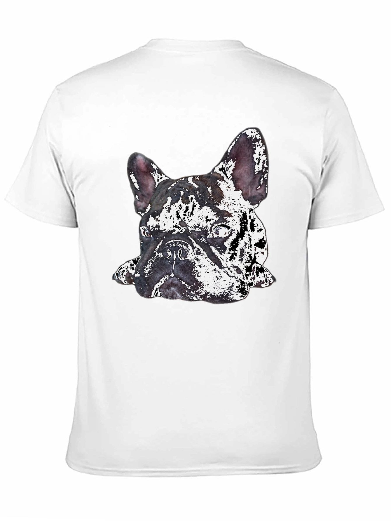 Black Dog Graphic Print Crew Neck T-Shirt view 11