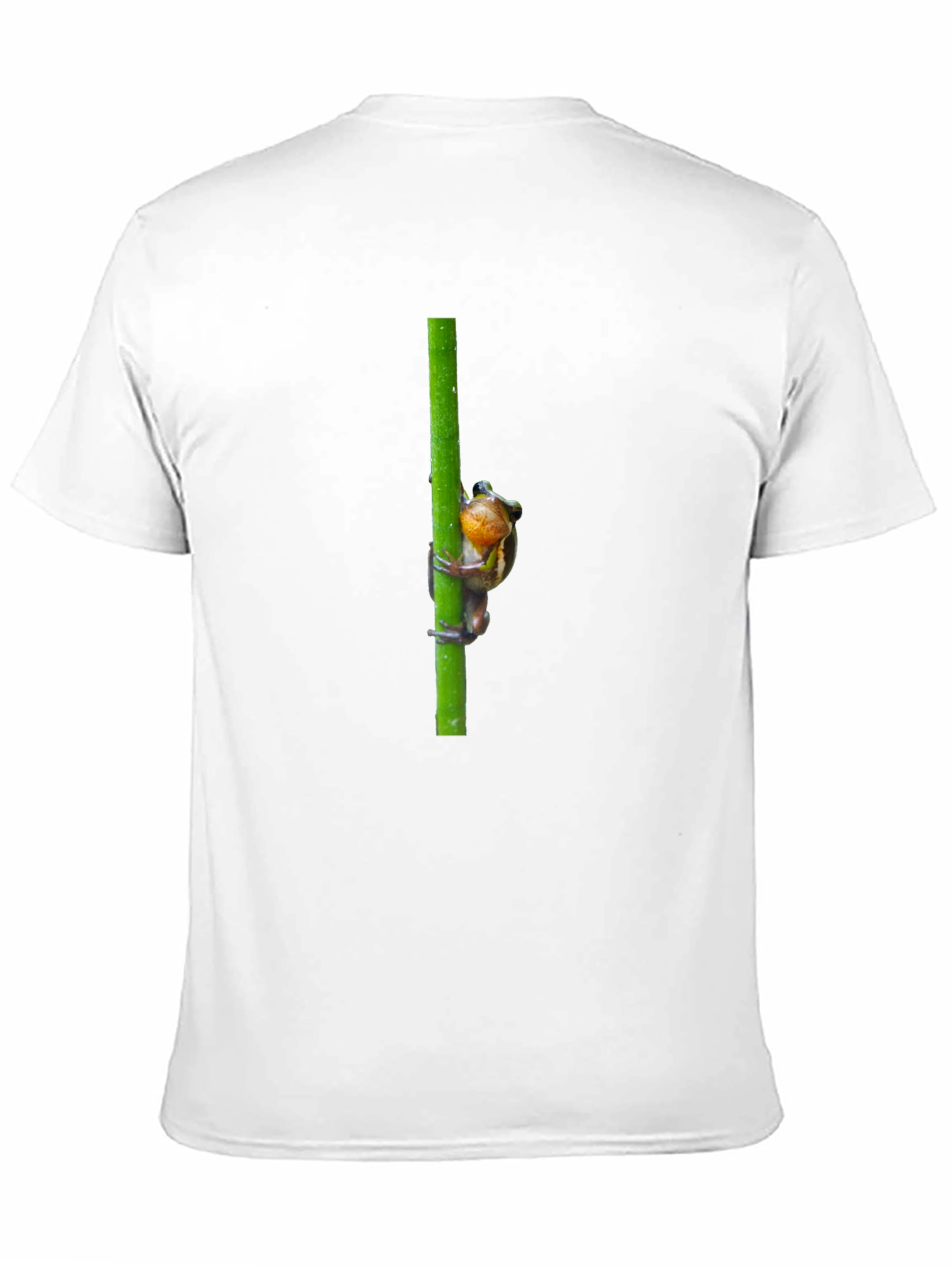 Black Frog on Reed Men's Black T-Shirt view 11