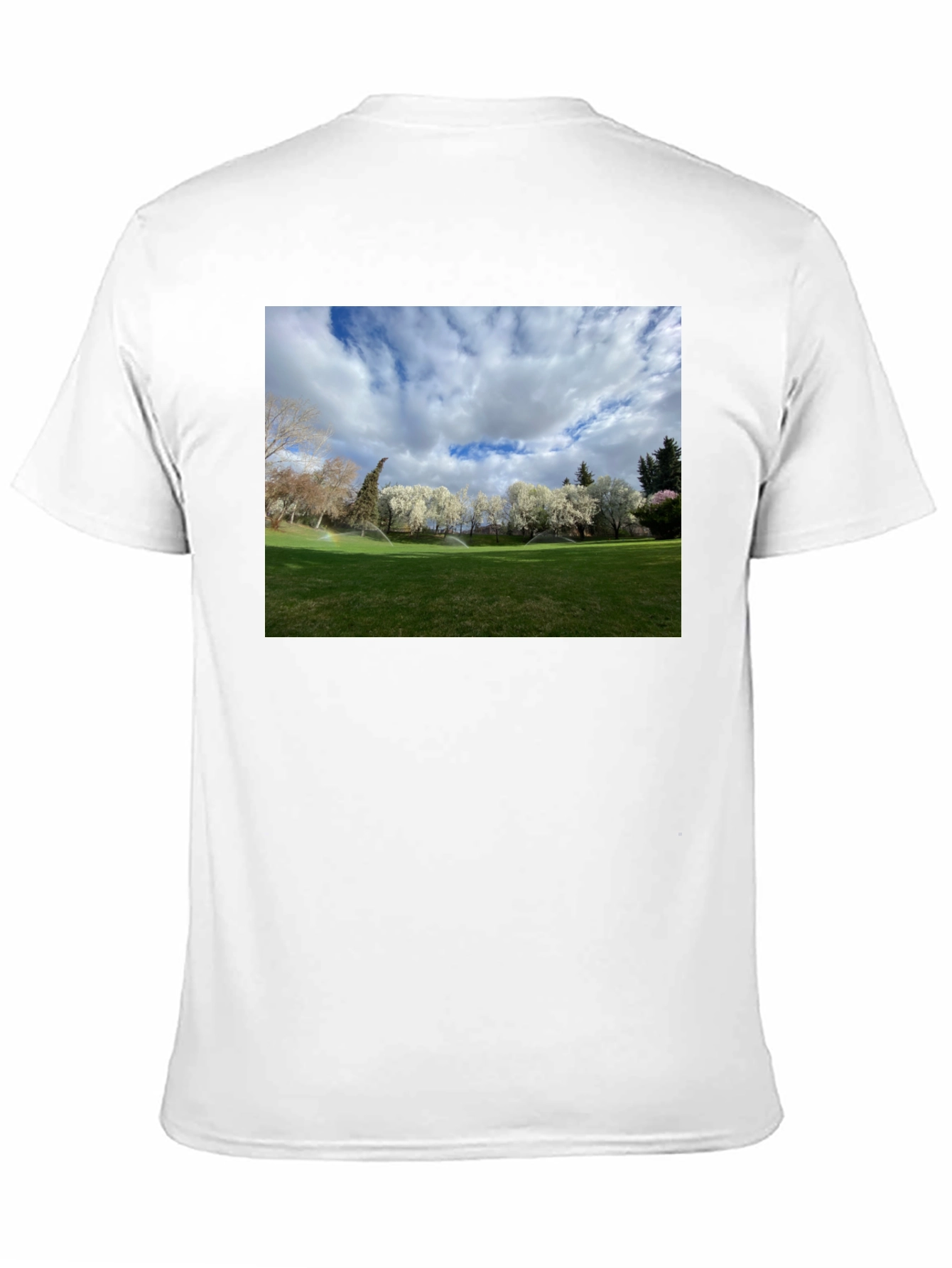 Black Scenic Landscape Graphic Tee - Cotton Comfort view 11