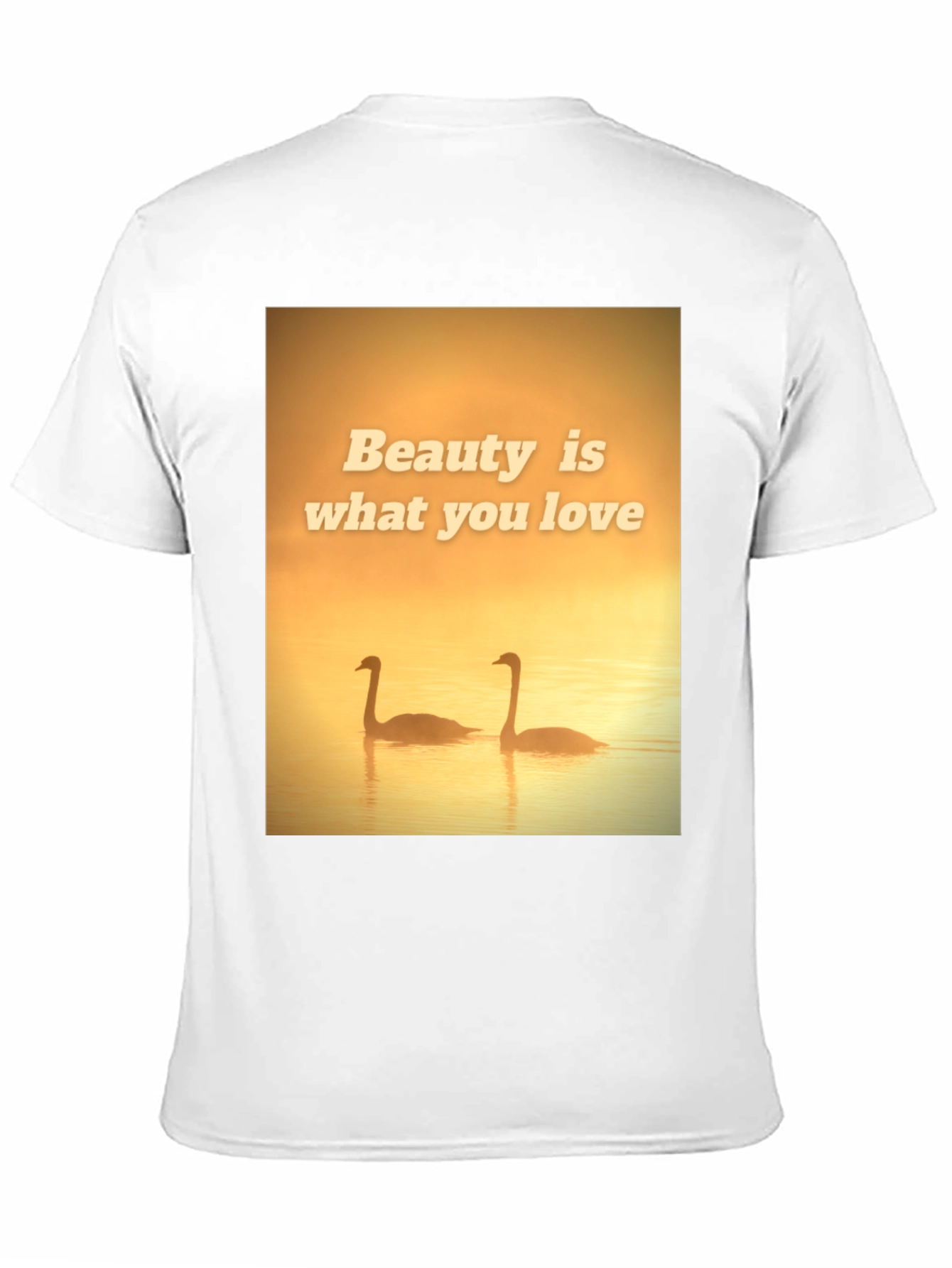 Black Beauty Swans Graphic T-Shirt view 11