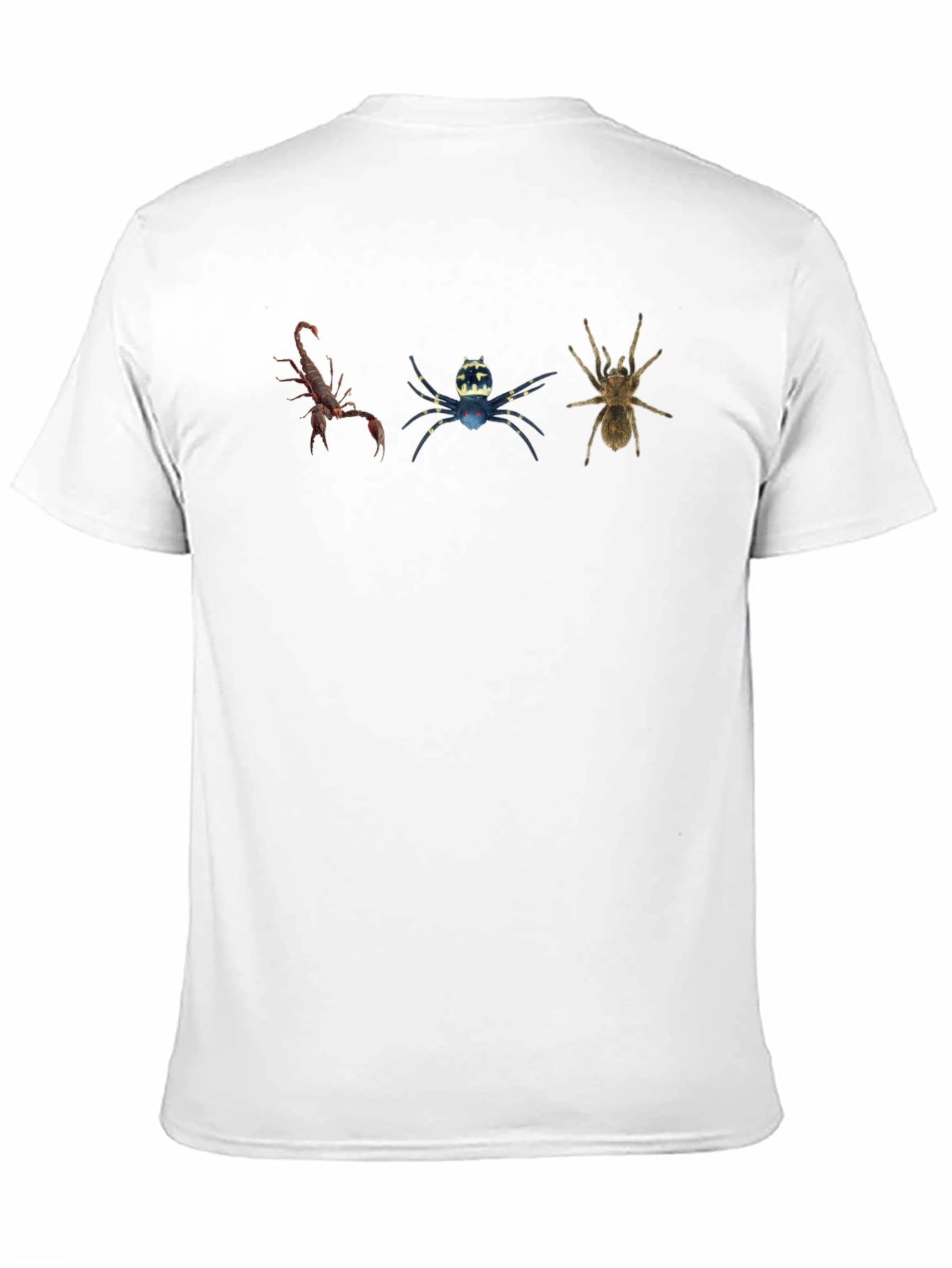Black Arachnid Trio Graphic Tee view 11