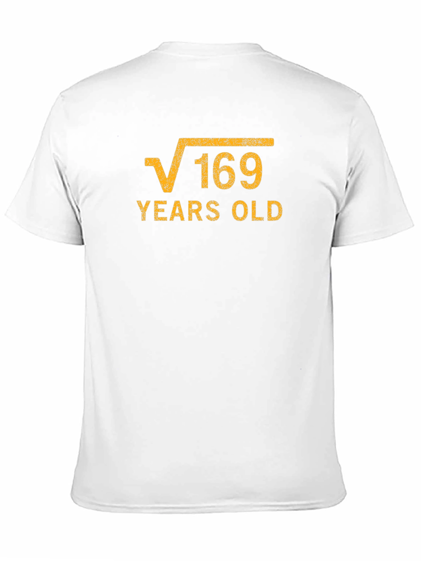 Black Funny 13th Birthday Square Root of 169 T-Shirt view 11