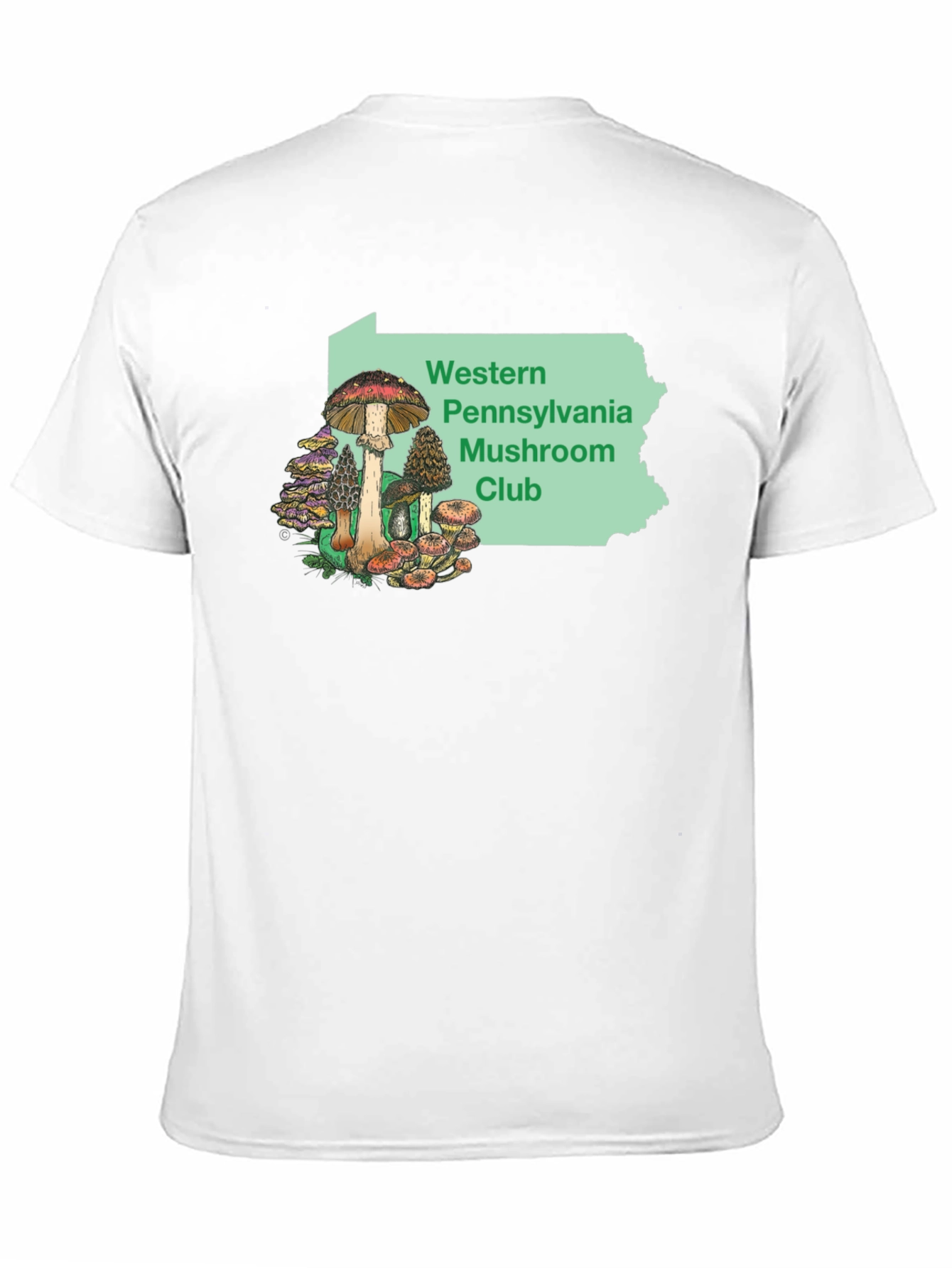 Black Western PA Mushroom Club T-Shirt view 11