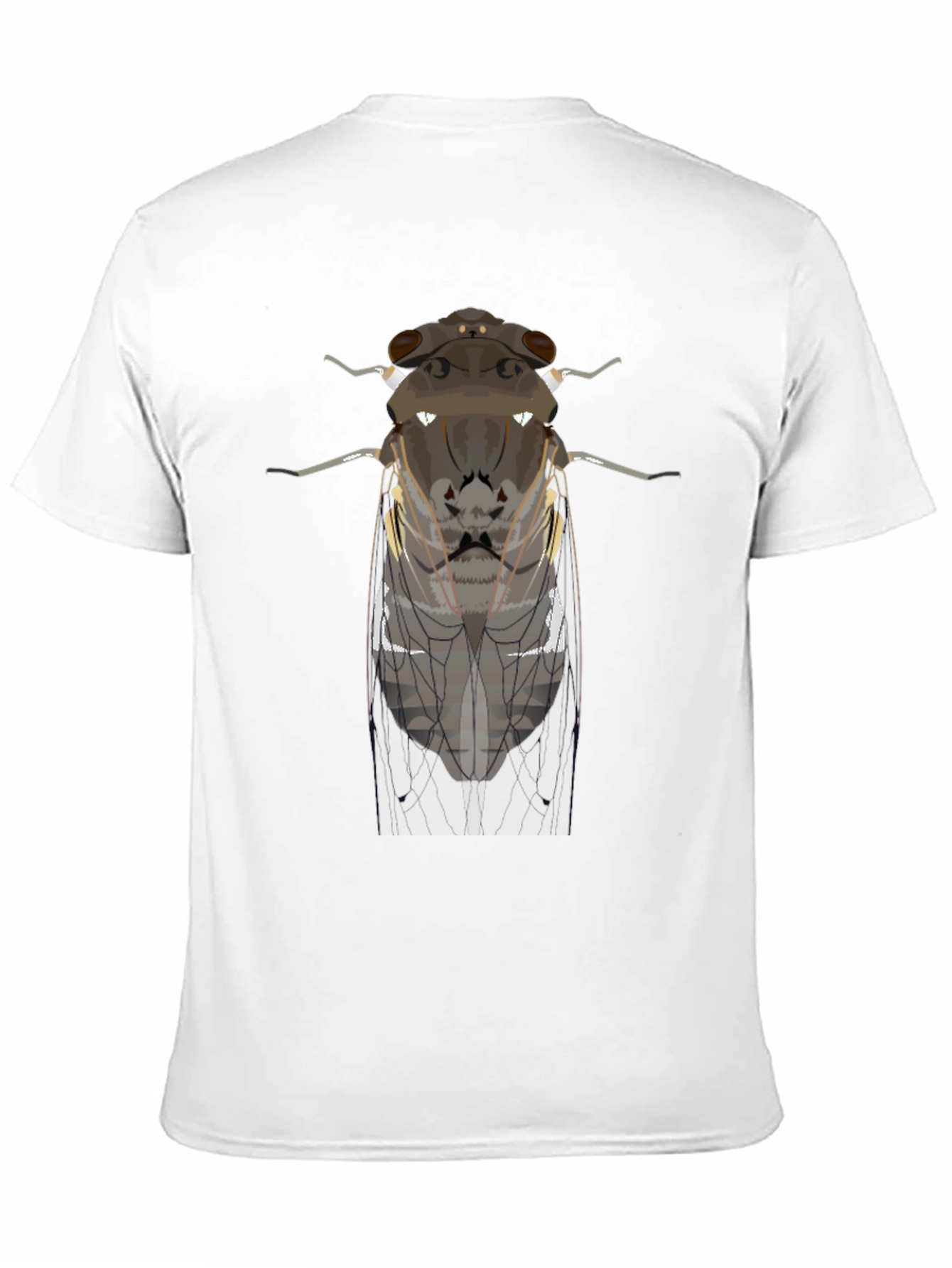 Black Cicada Graphic Tee - Entomologist Apparel view 11
