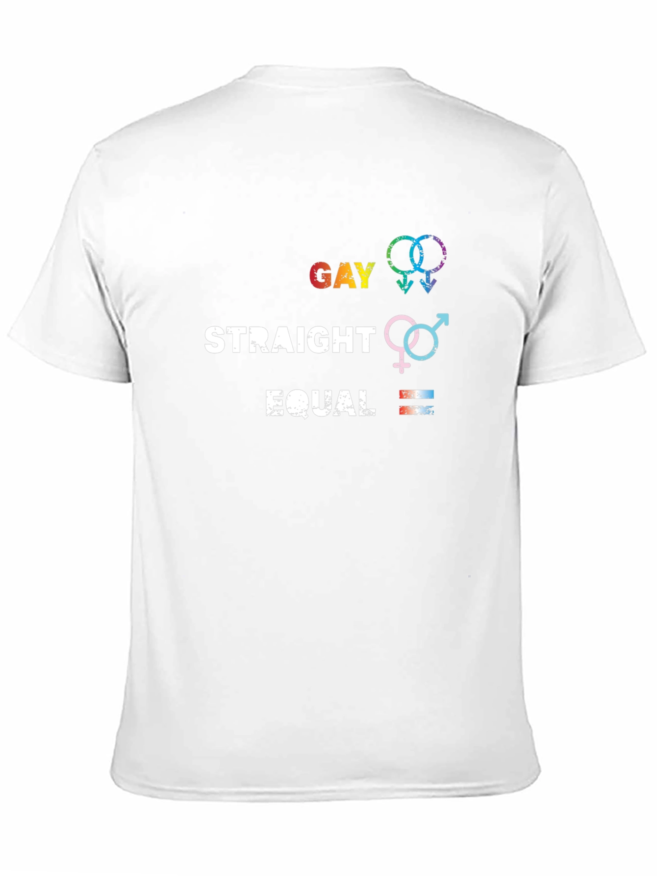 Gay Straight Equal Graphic Tee - Pride Equality T-Shirt - 11
