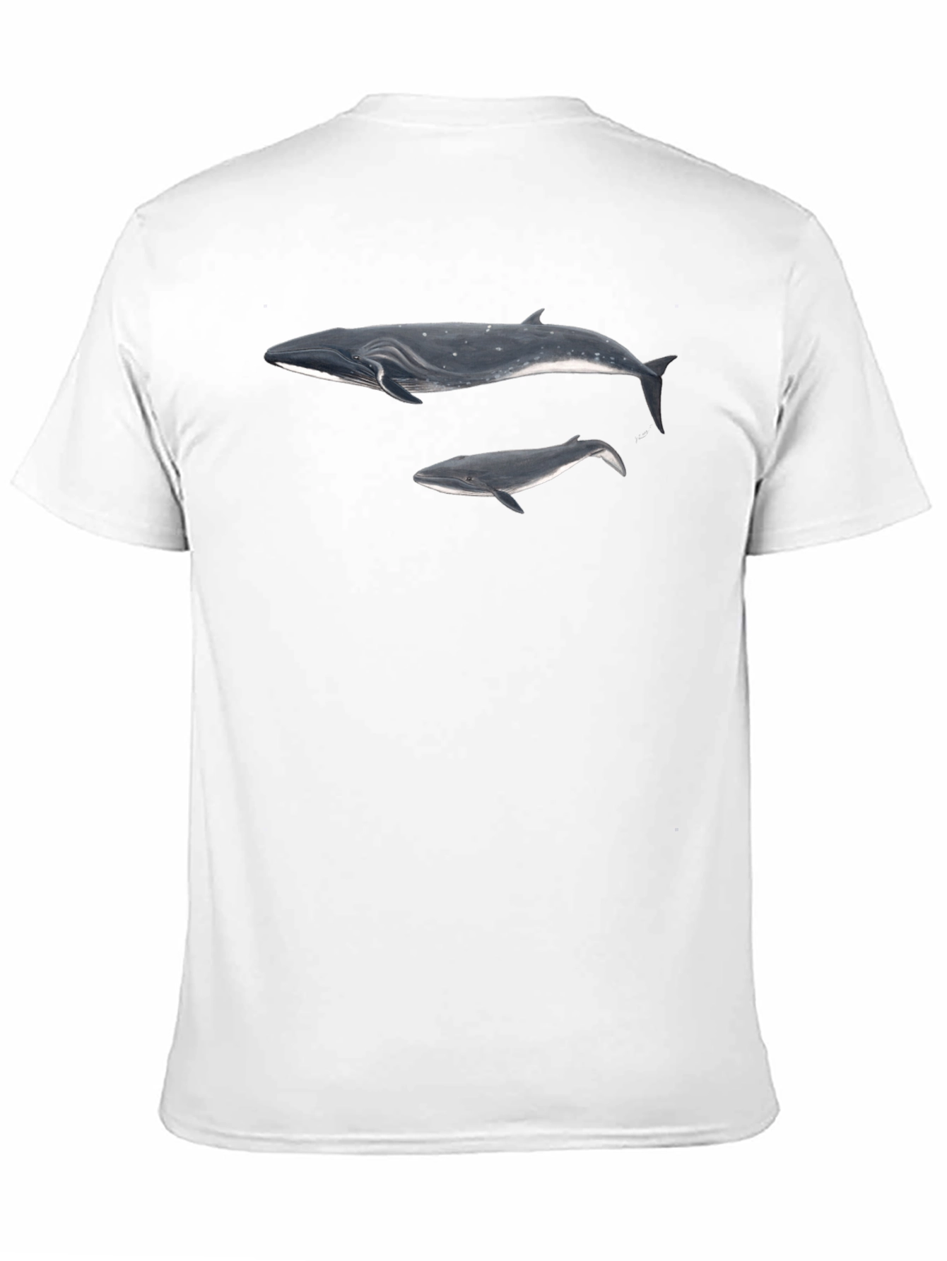 Black Whale Graphic Black T-Shirt for Men view 11
