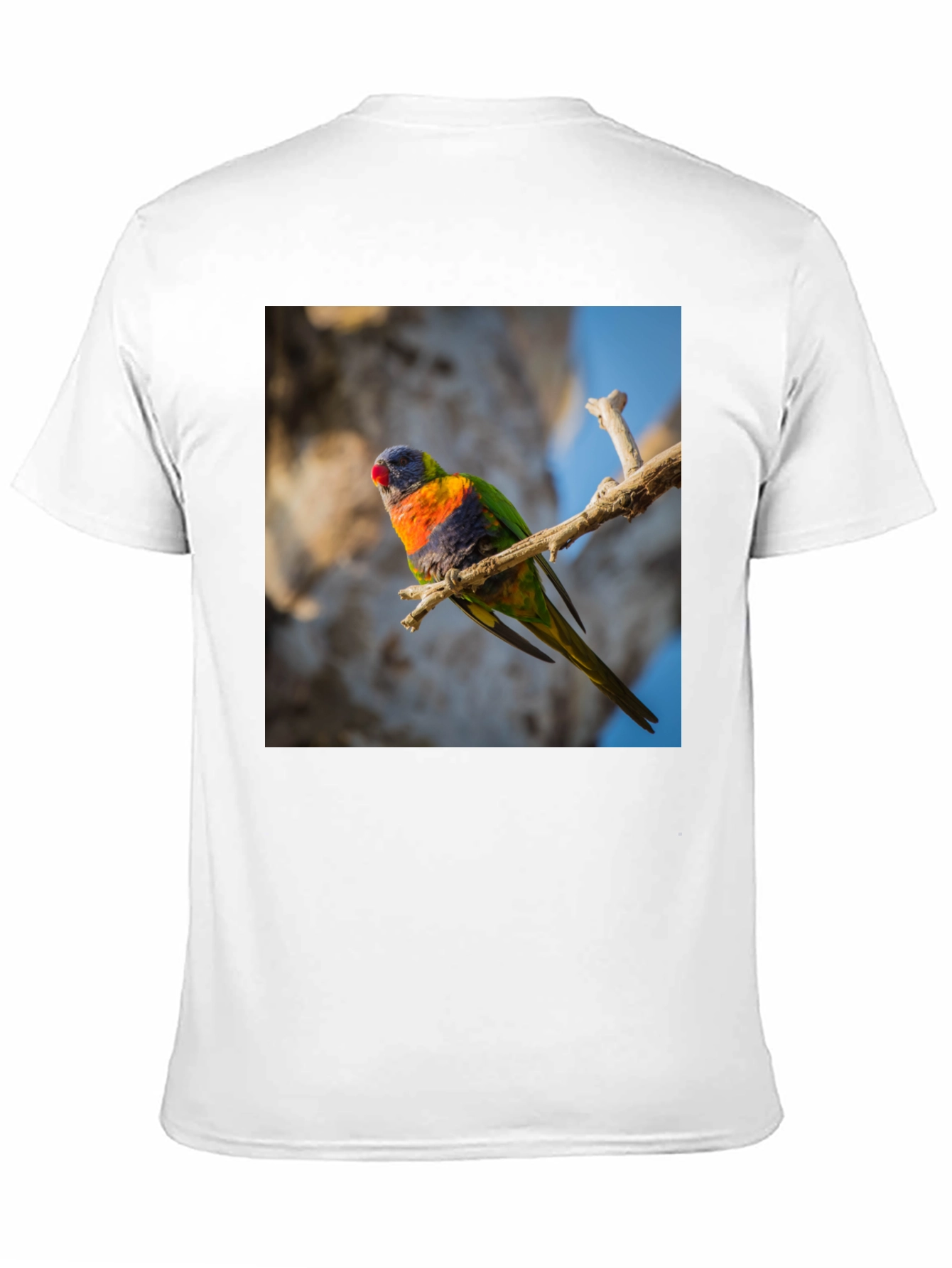 Black Rainbow Lorikeet T-Shirt - Nature Inspired Apparel view 11