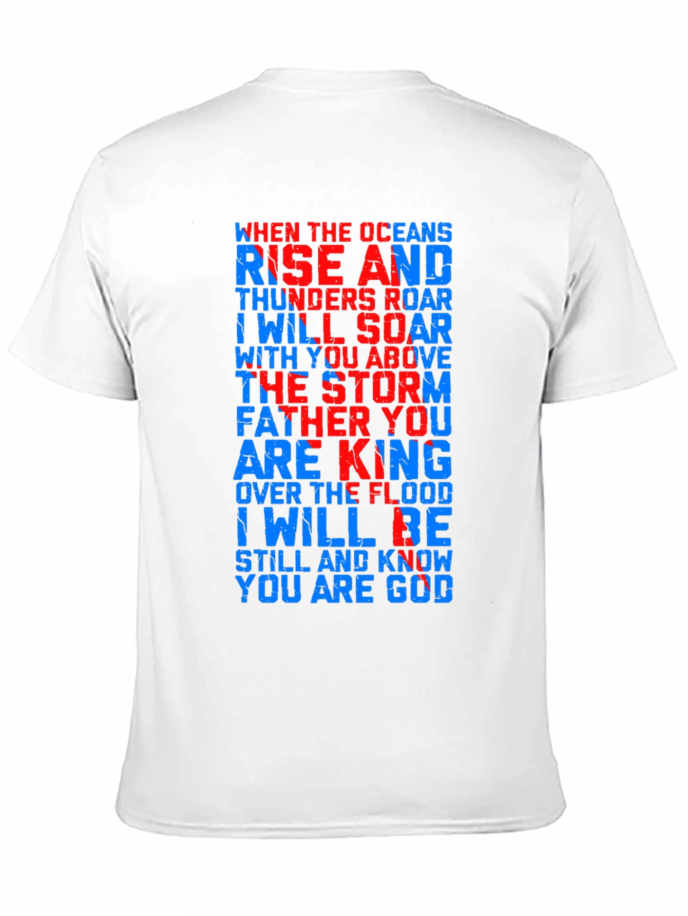 Black Rise & Roar Graphic Tee - Men's Black T-Shirt view 11