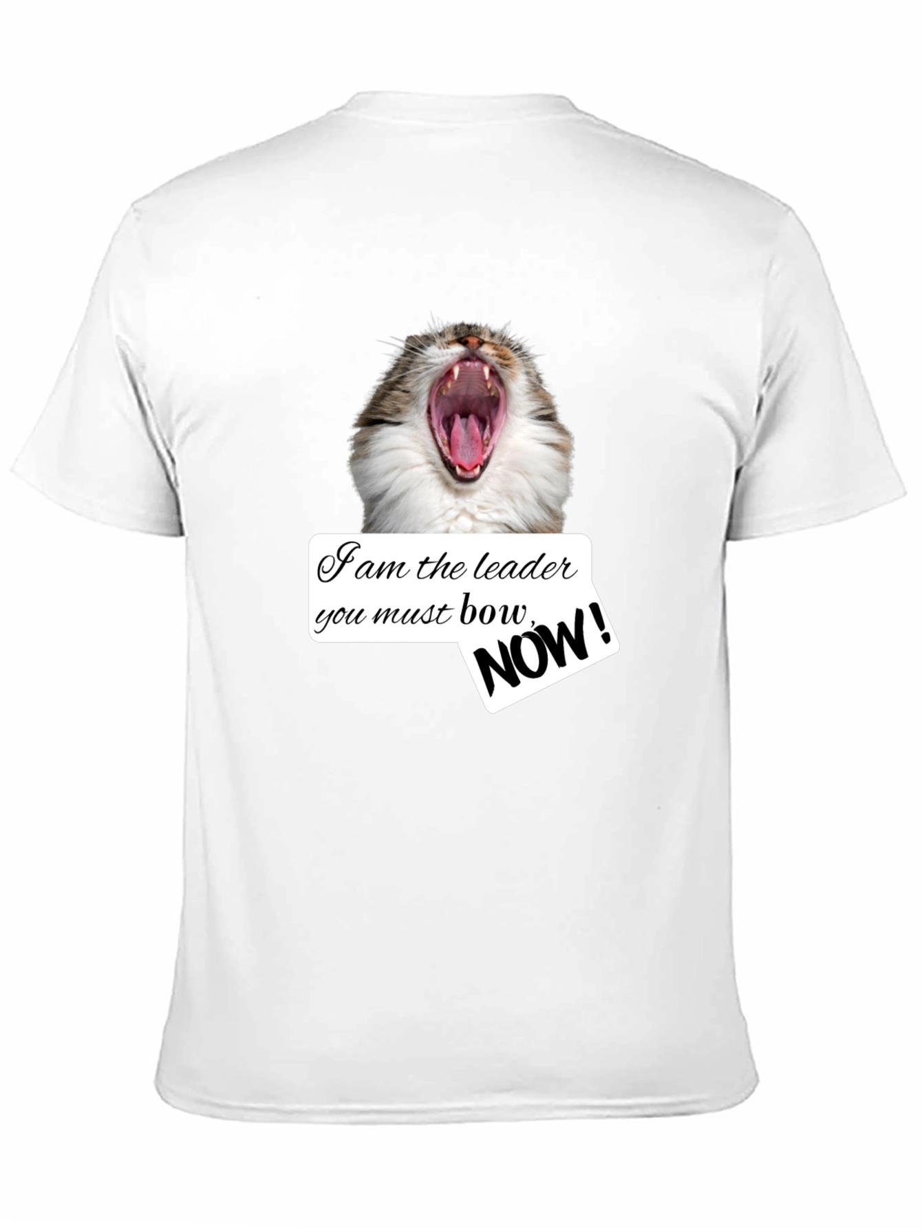 Black Funny Cat T-Shirt - I am the Leader Bow NOW! - Black view 11