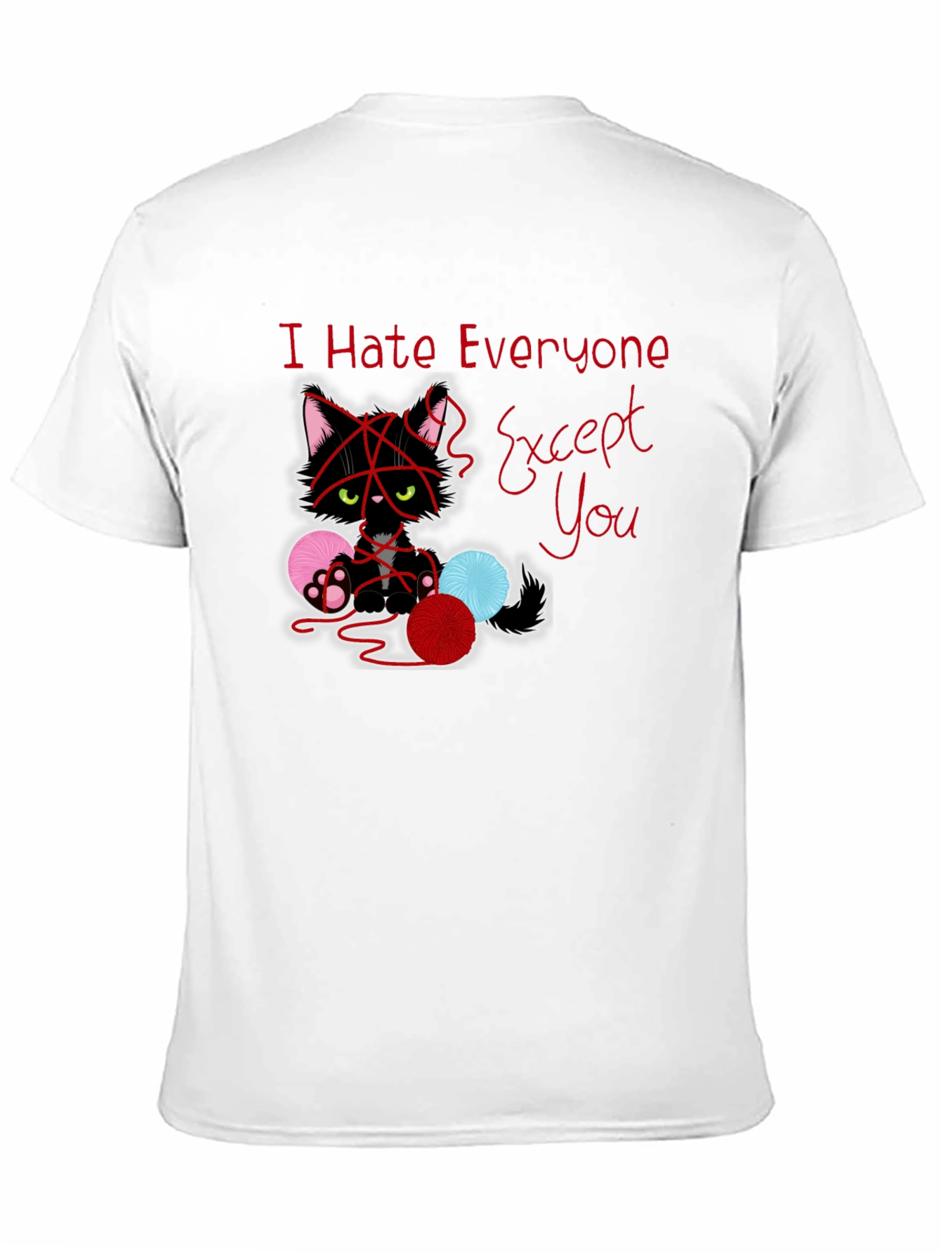 Black I Hate Everyone Except You Cat T-Shirt view 11