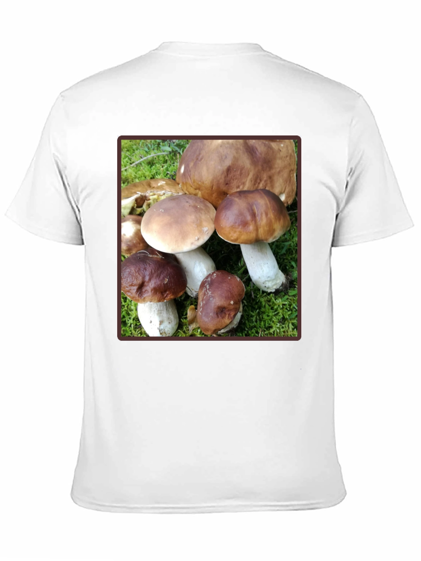 Black Mushroom Graphic T-Shirt - Forest Fungi Tee view 11