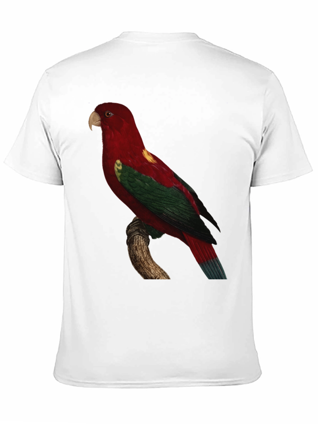 Black Parrot Print Crewneck T-Shirt view 11