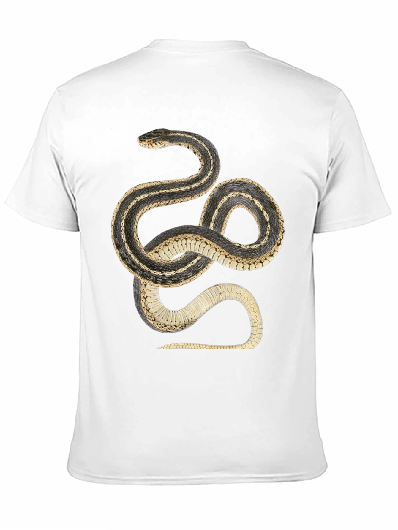 Black Snake Graphic T-Shirt - Black Cotton Tee view 11