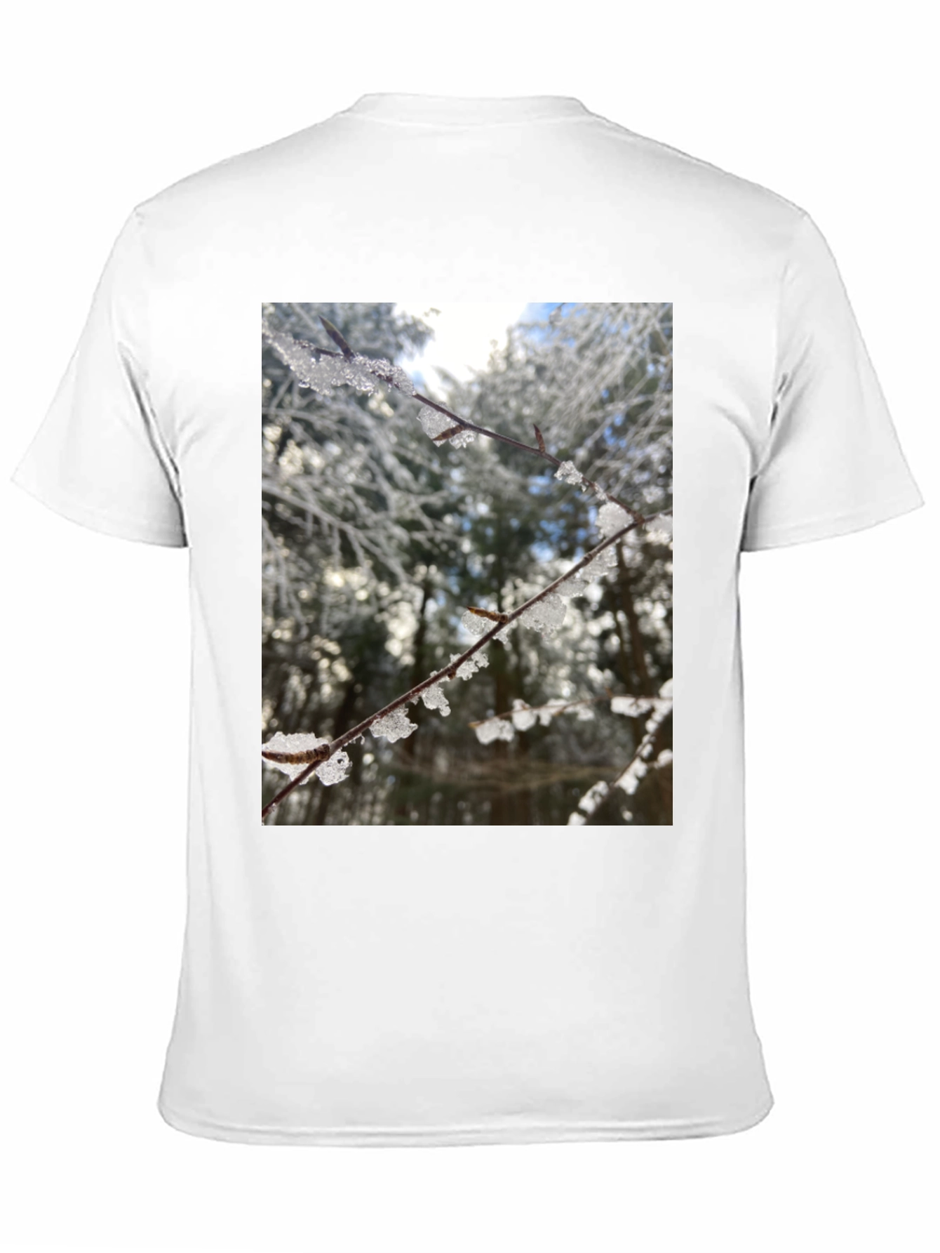 Black Winter Branch Graphic Tee - Nature Inspired Design view 11