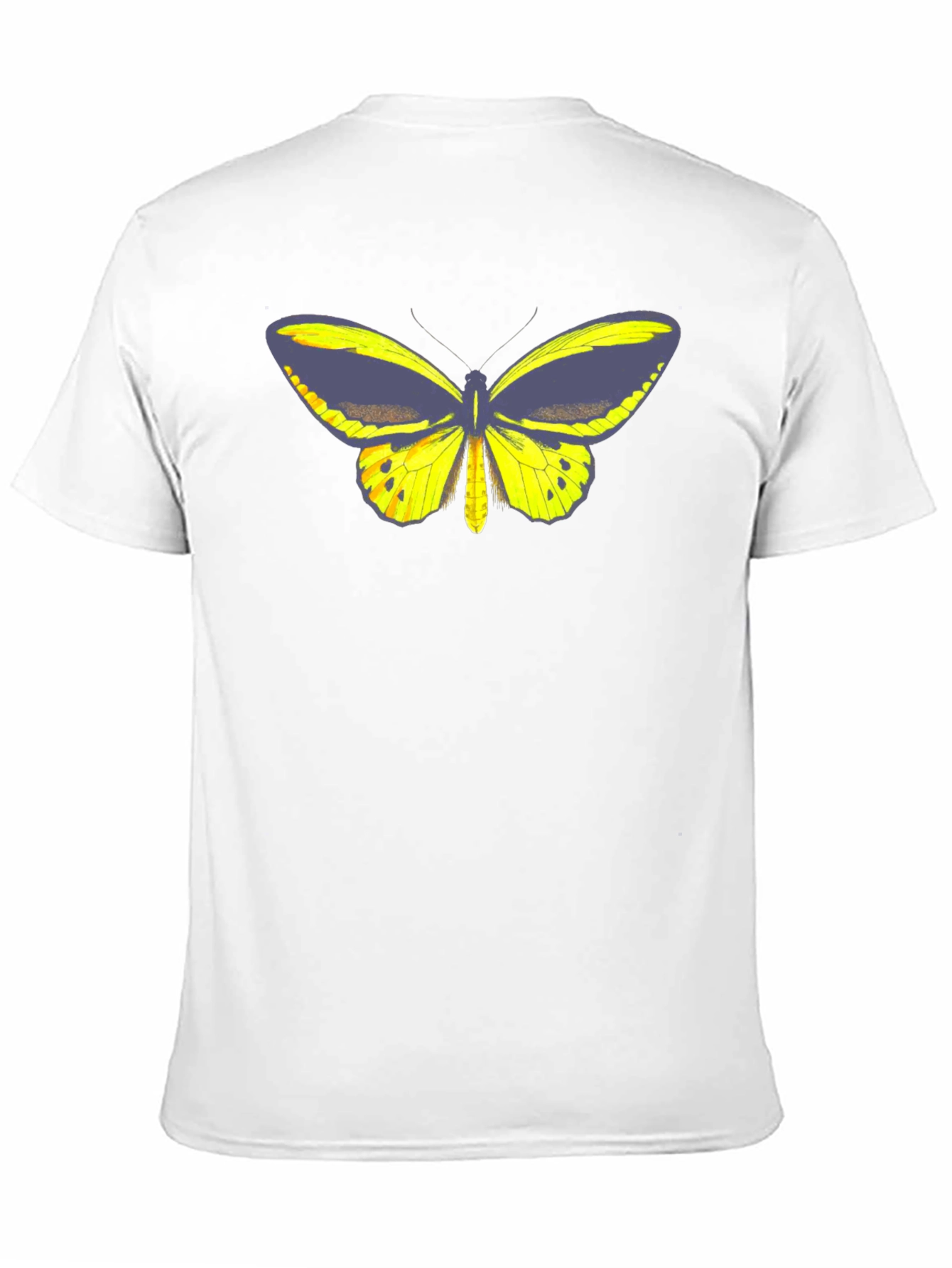 Black Butterfly Graphic Tee - Black Cotton Casual T-Shirt view 11