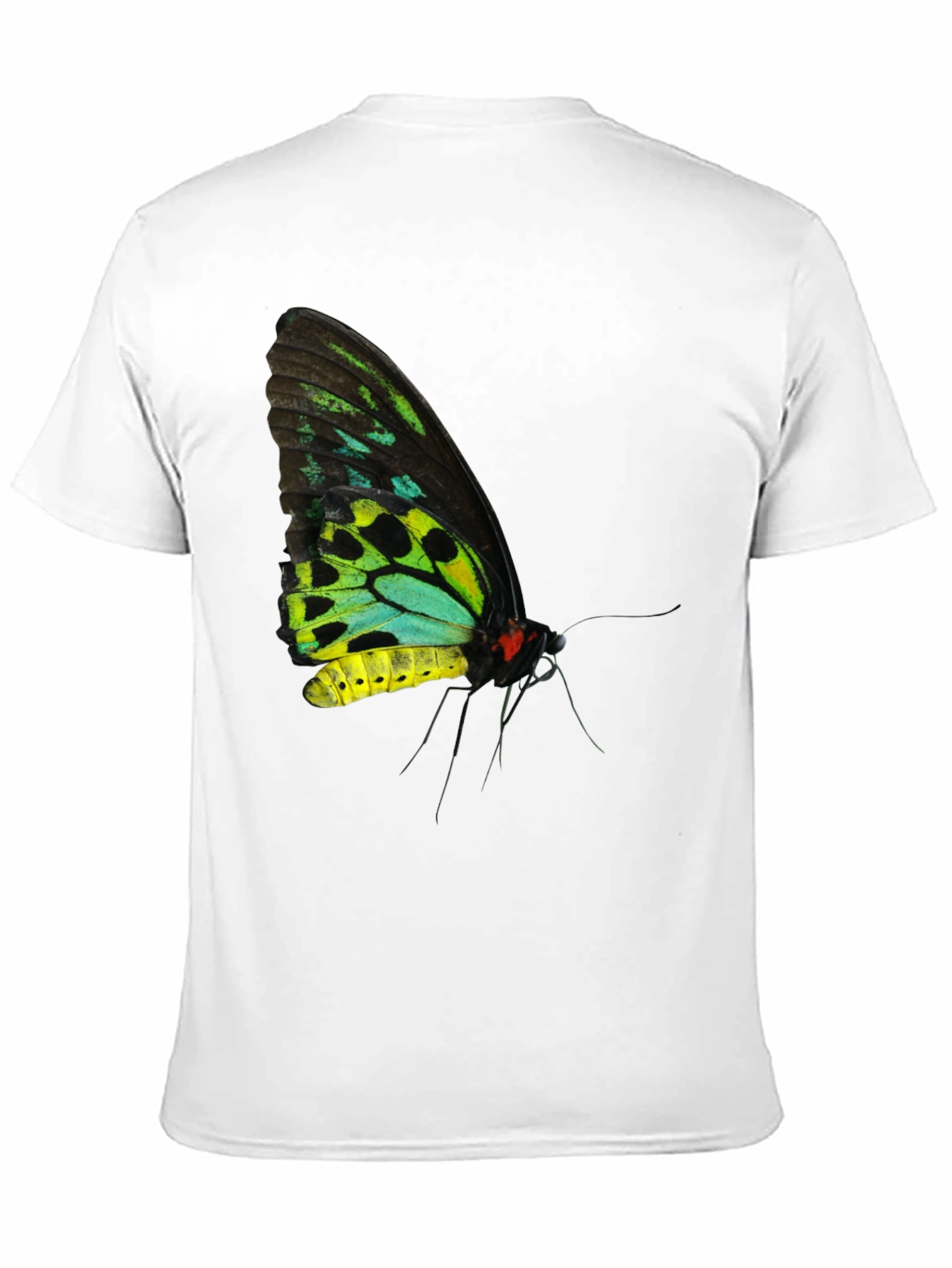 Black Butterfly Graphic Black T-Shirt view 11
