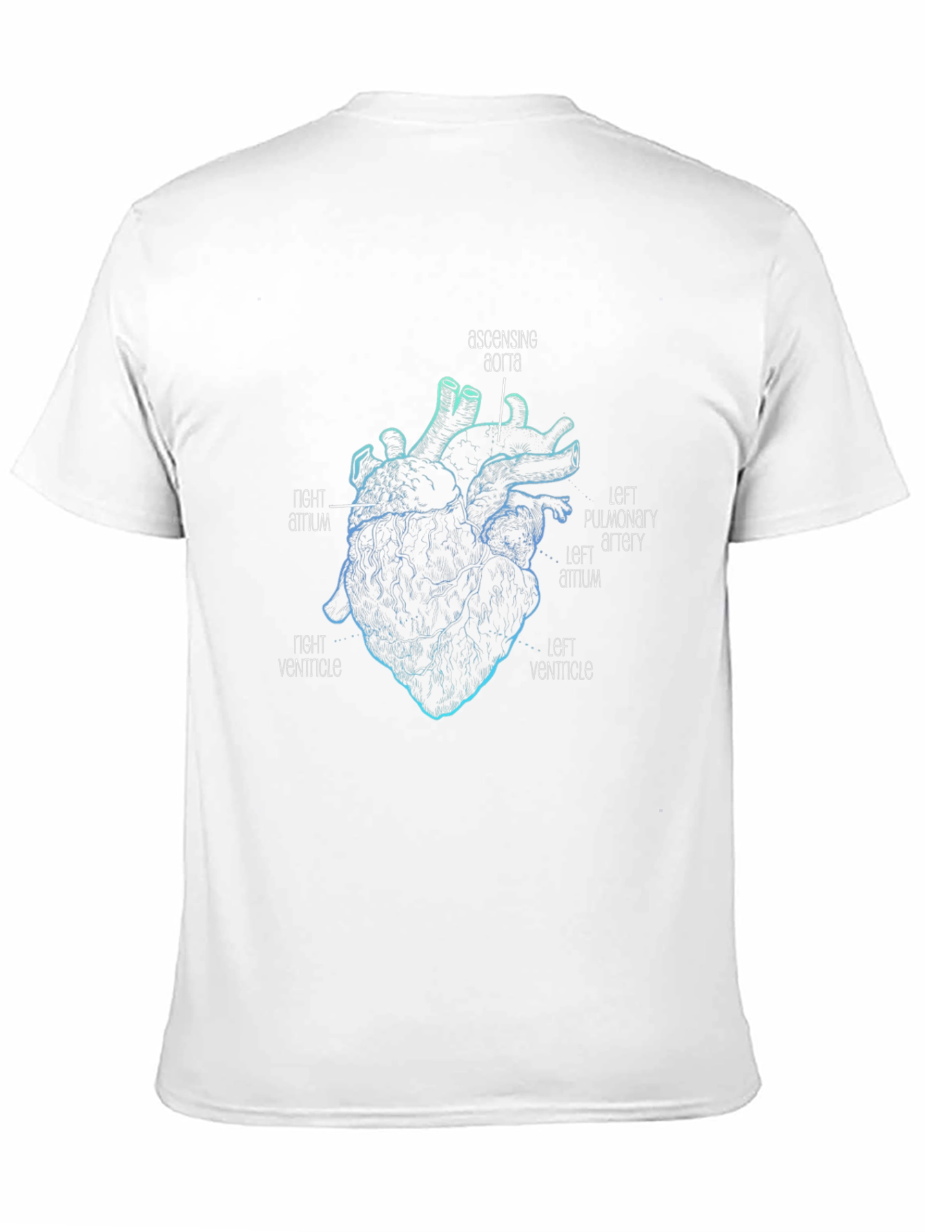 Black Anatomical Heart Graphic Black T-Shirt view 11