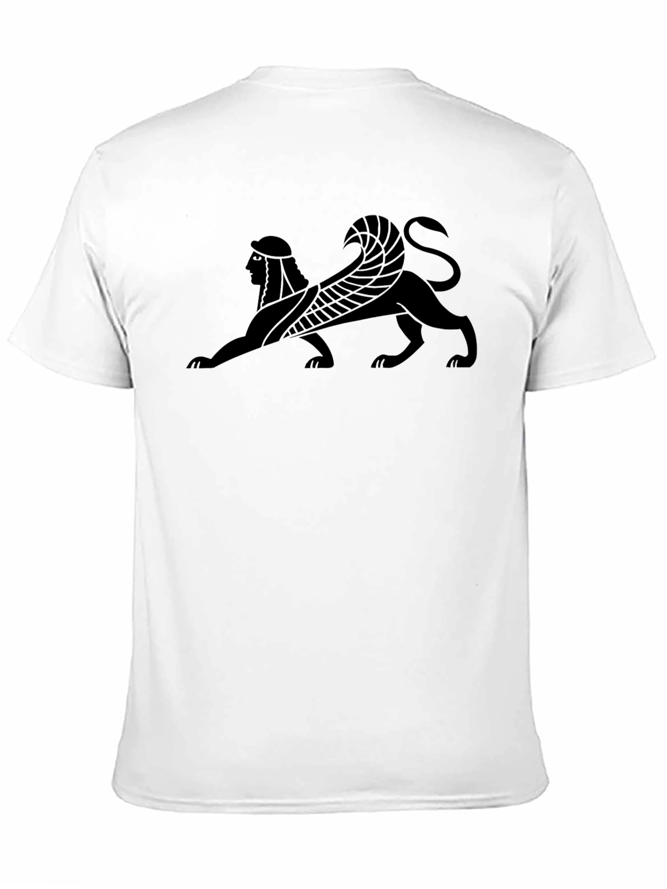 Black Sphinx Graphic Tee - Black Cotton T-Shirt view 11