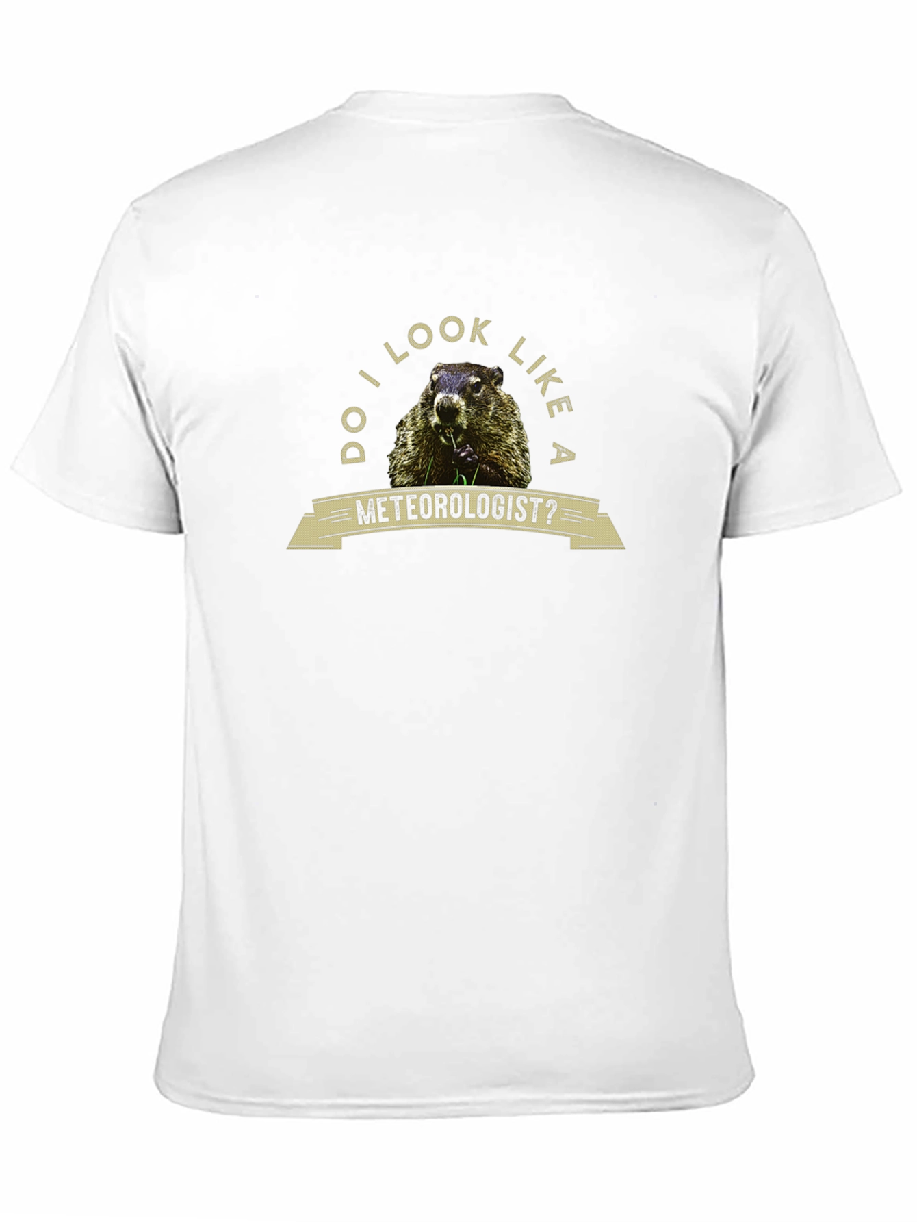 Black Funny Groundhog Meteorologist Graphic Tee view 11