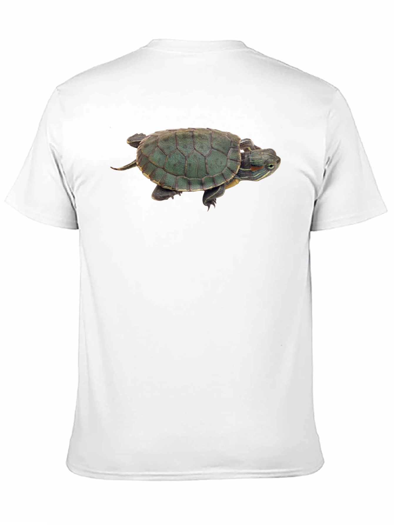 Black Turtle Graphic Black T-Shirt view 11