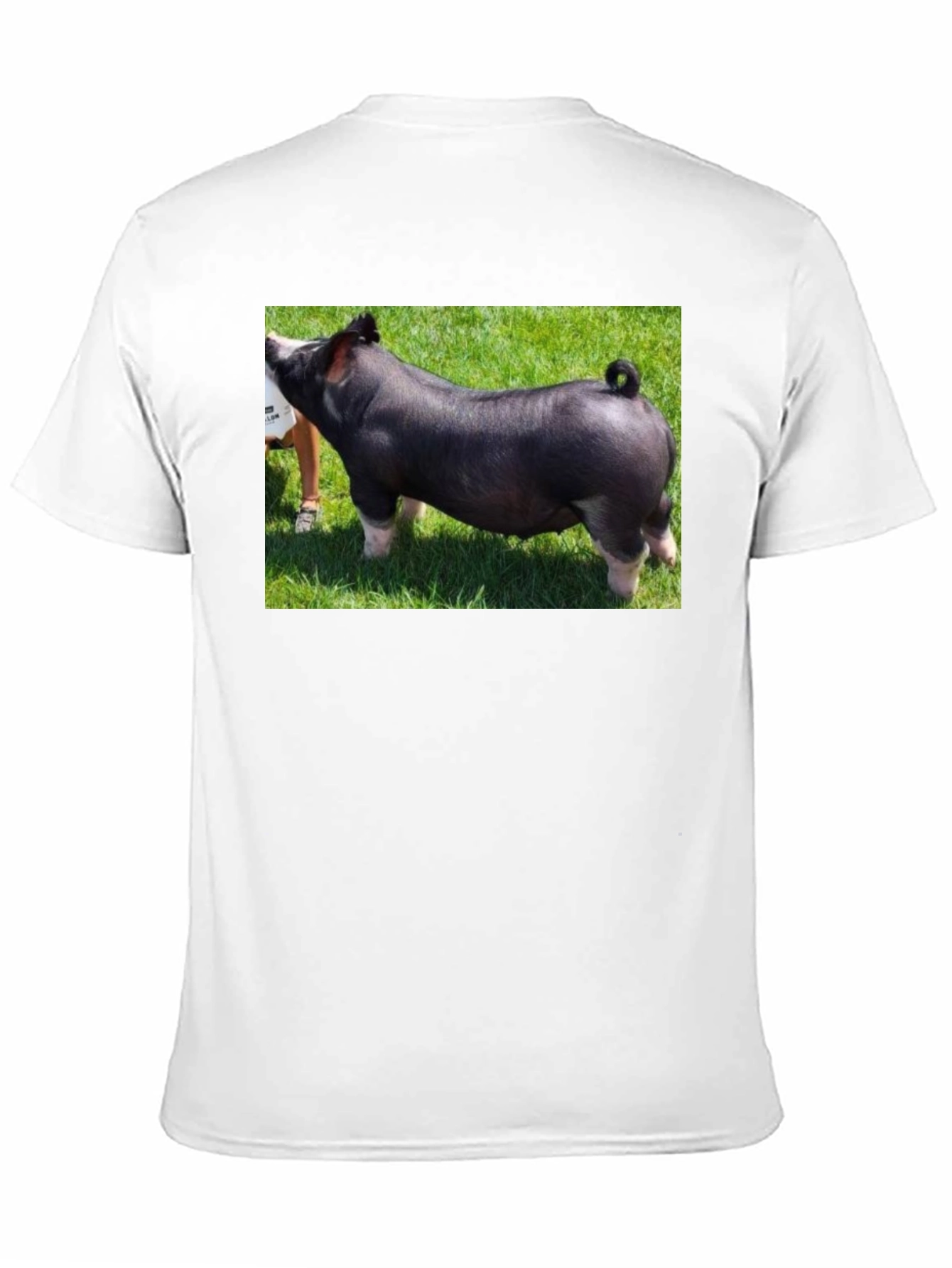 Black Black T-Shirt with Pig Graphic Tee view 11