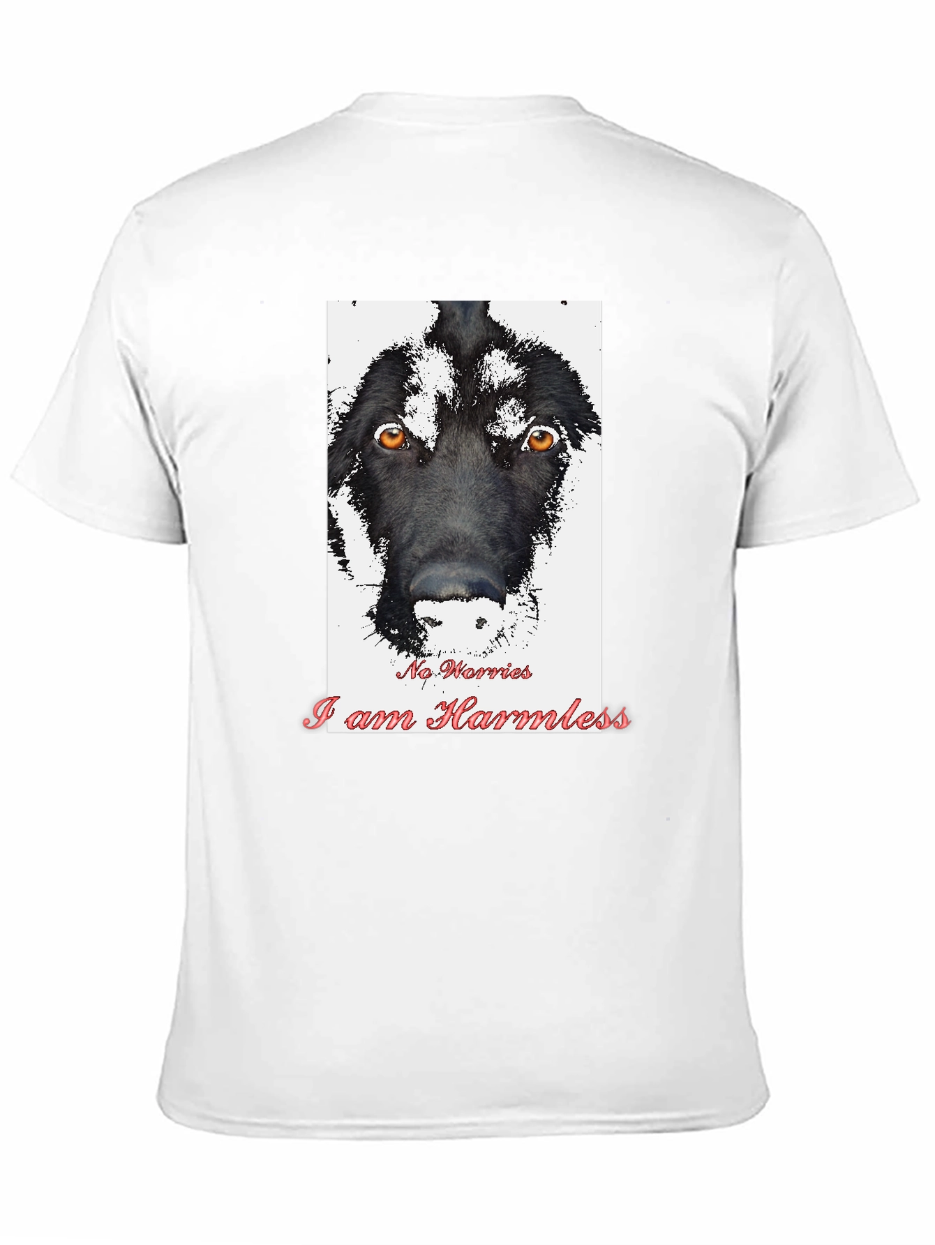 Black Harmless Dog Graphic T-Shirt view 11