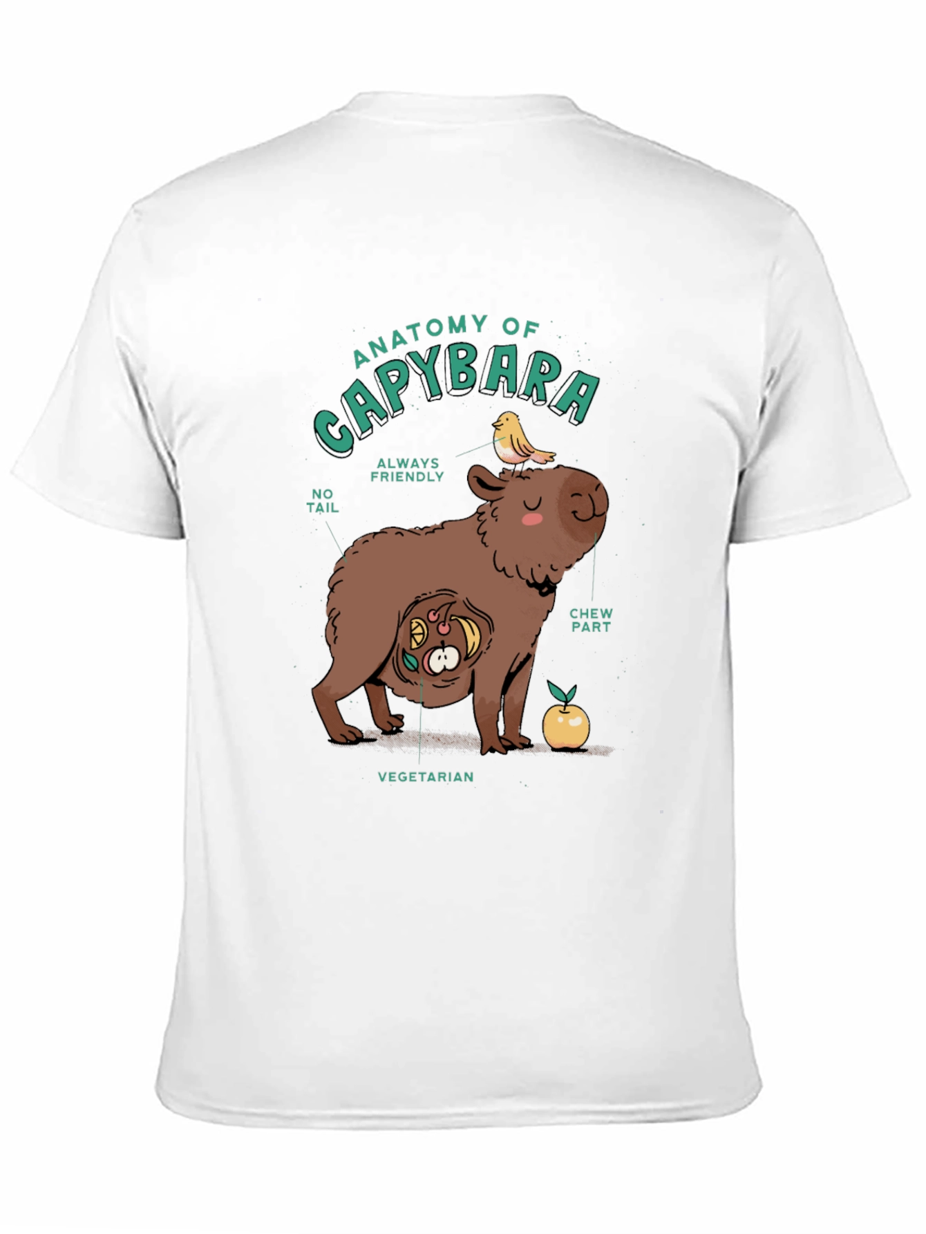 Black Anatomy of a Capybara Graphic T-Shirt view 11