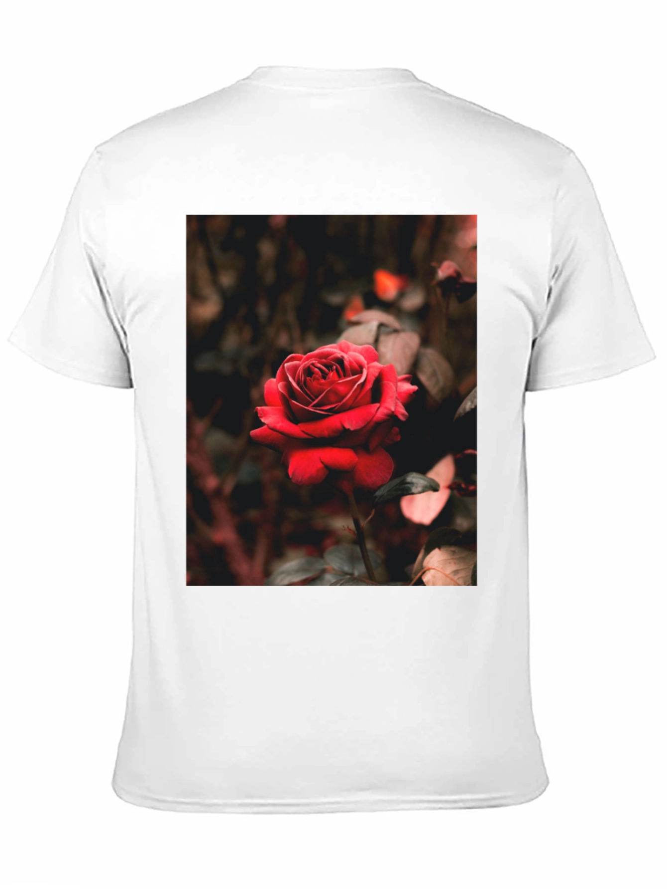 Black Rose Graphic Tee - Black Cotton T-Shirt view 11