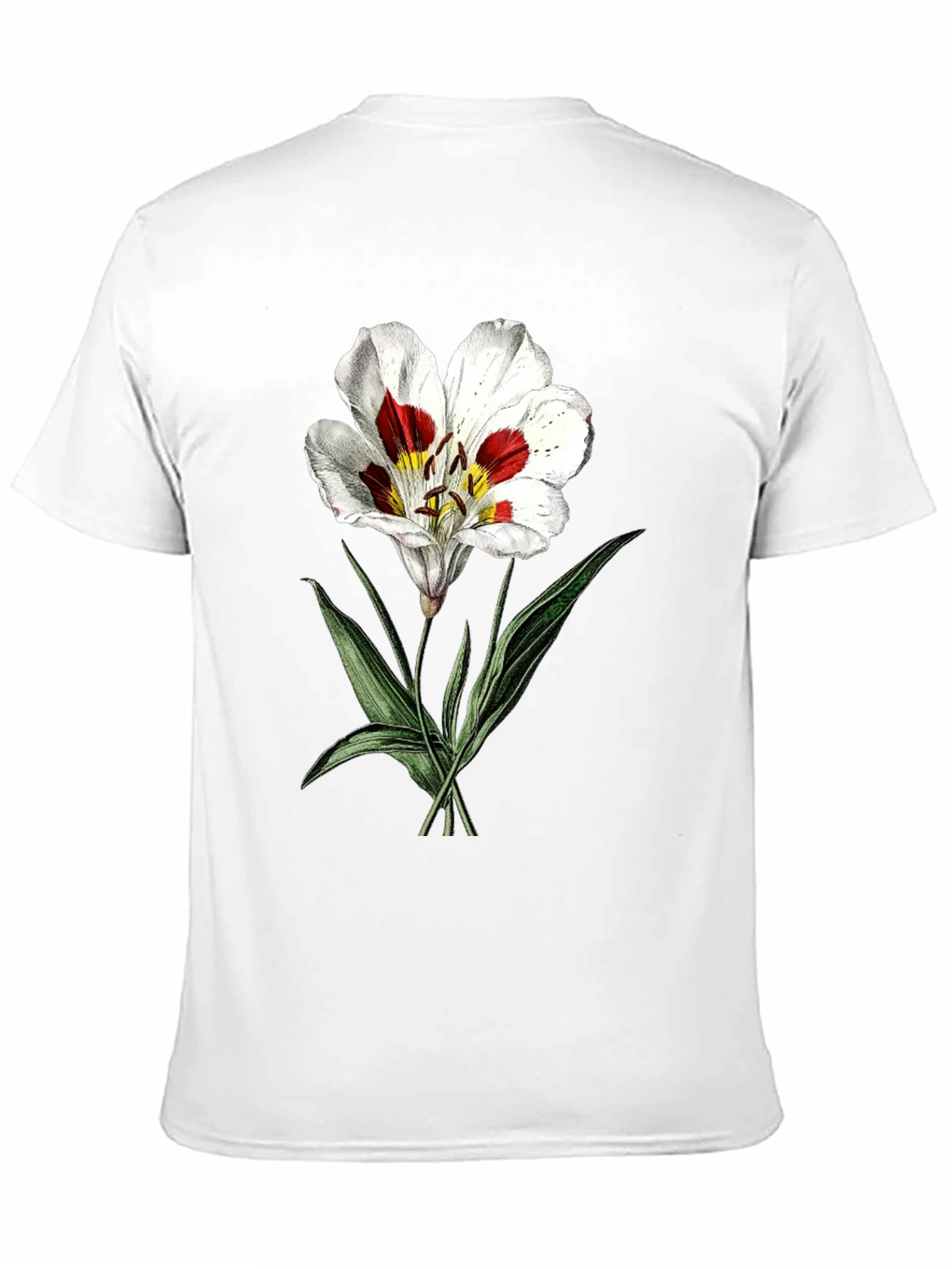 Black Botanical Lily Graphic Tee - Black view 11