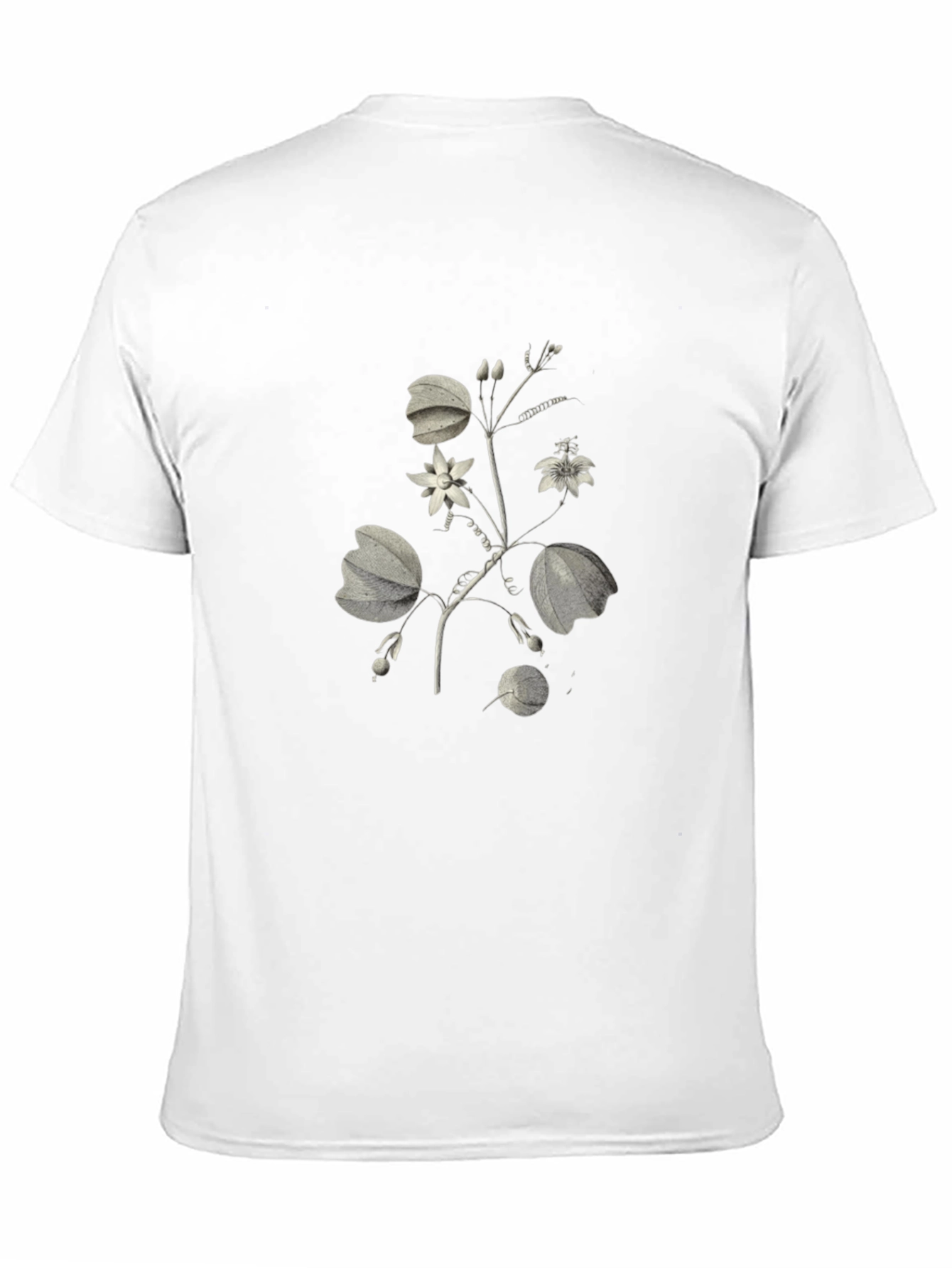 Black Botanical Print Black T-Shirt view 11