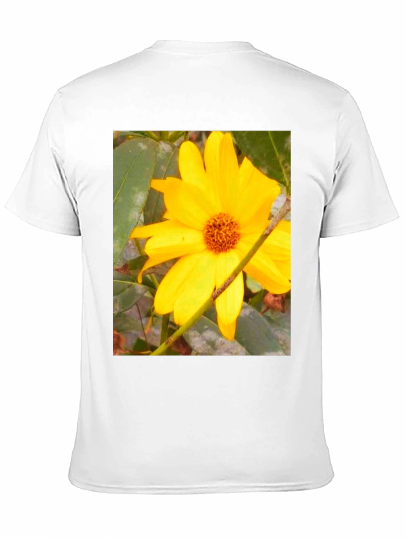 Black Sunflower Print Black T-Shirt view 11