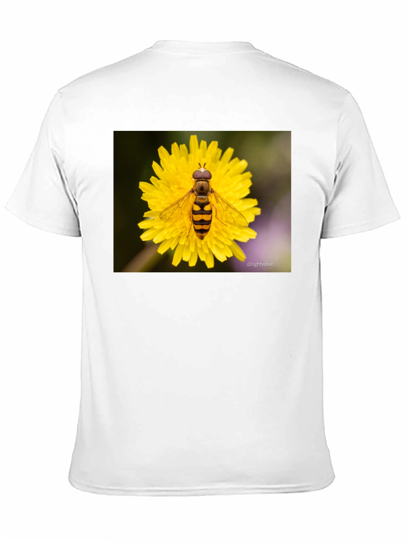 Black Bee on Flower Graphic Tee - Black Cotton T-Shirt view 11