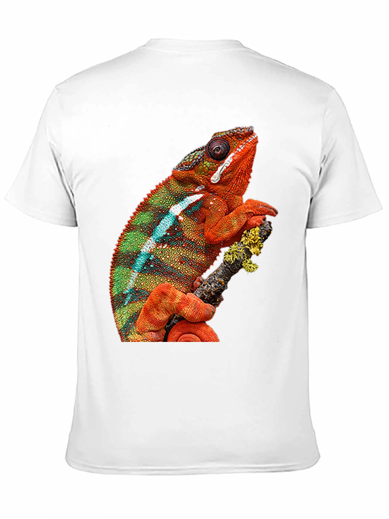 Black Chameleon Graphic Print Crew Neck T-Shirt view 11