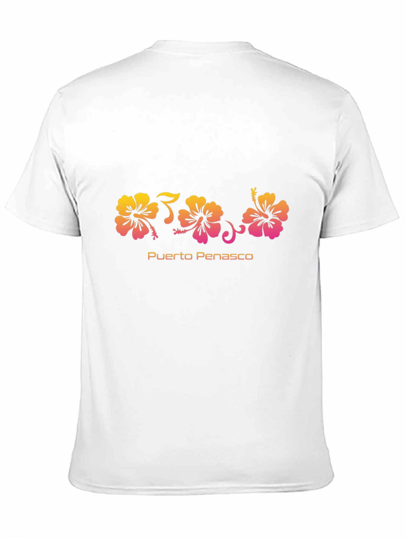Black Puerto Penasco Hibiscus Flower Graphic Tee view 11