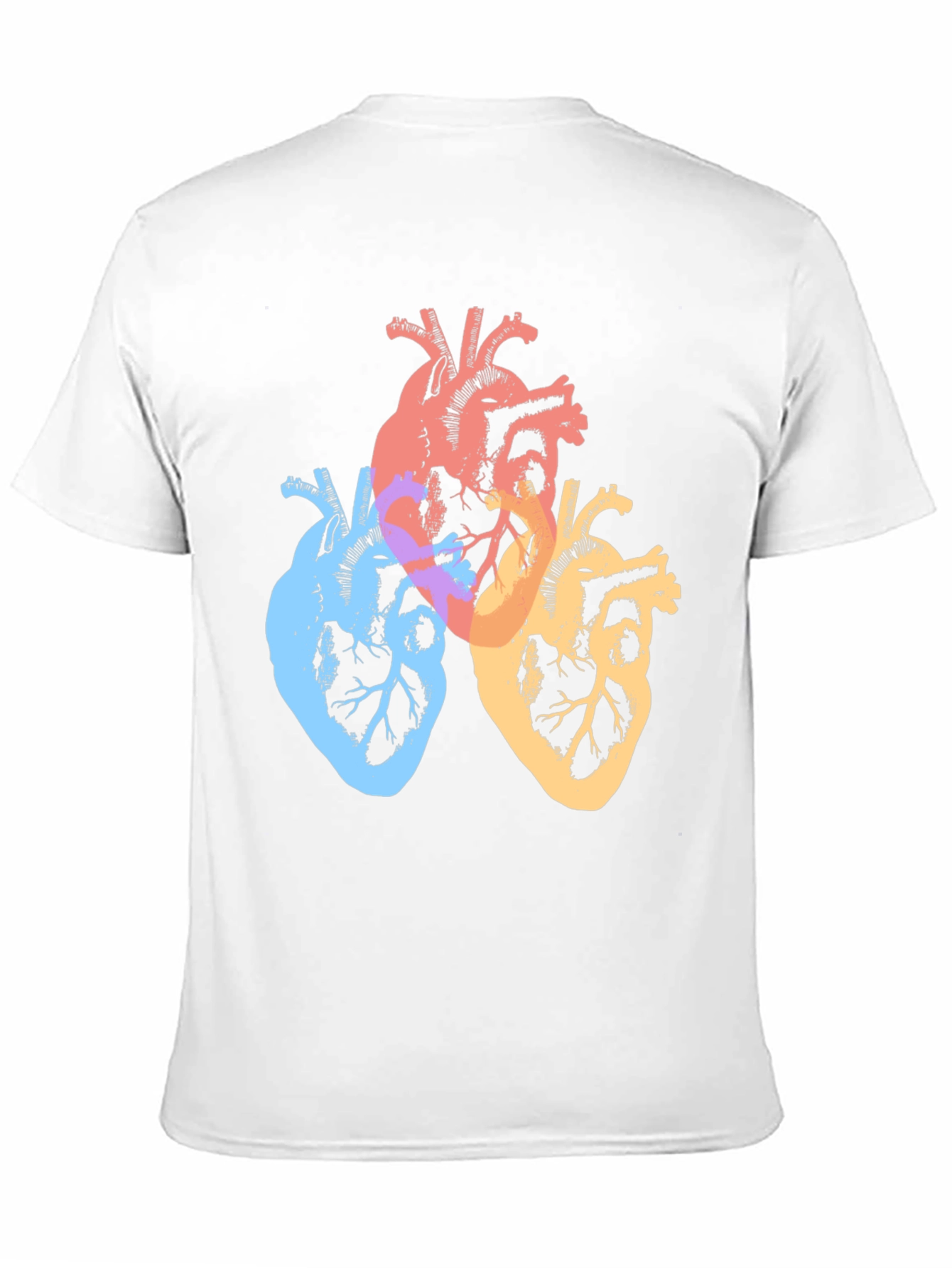 Black Colorful Anatomical Hearts Graphic Tee - Black view 11
