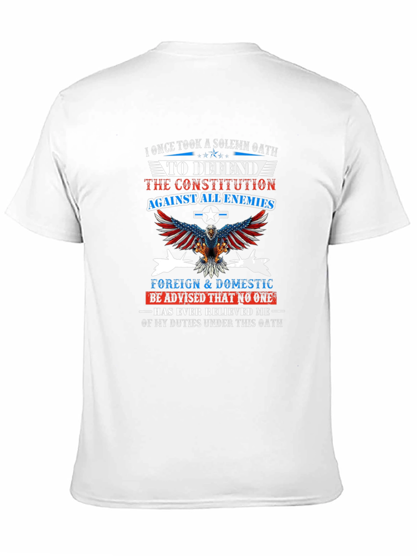 Oath to Defend Constitution Graphic Tee - 11