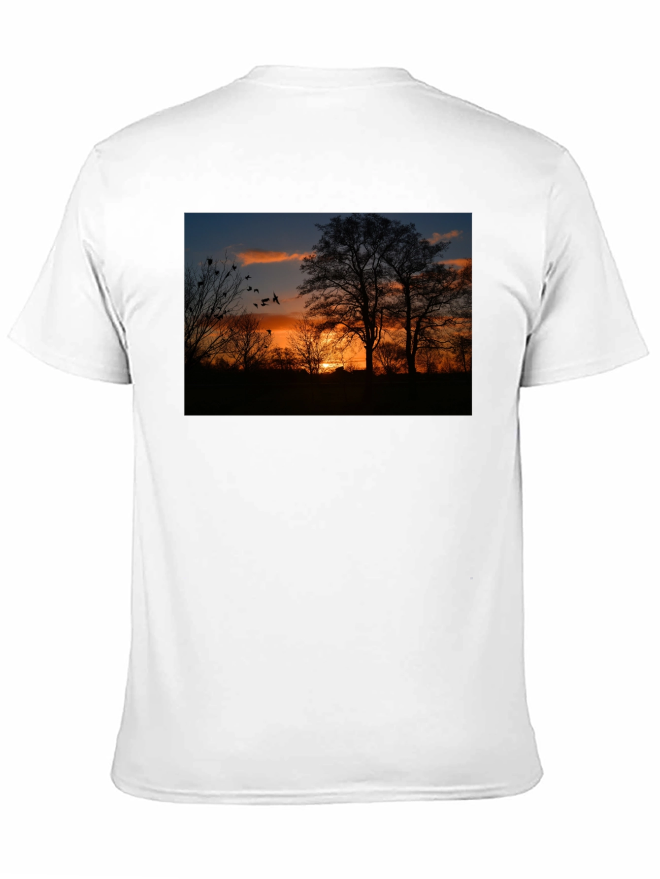 Sunset Trees Graphic Tee - Nature Inspired Black T-Shirt - 11