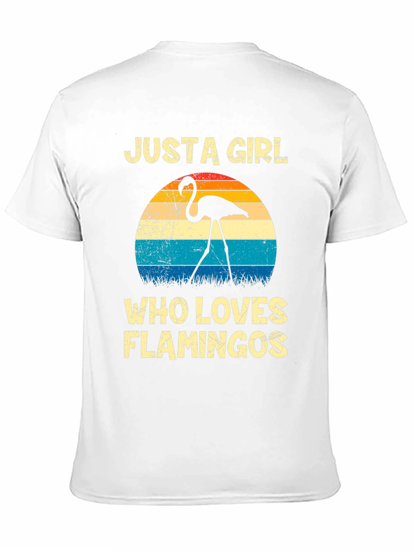 Black Just A Girl Who Loves Flamingos Graphic Tee view 11
