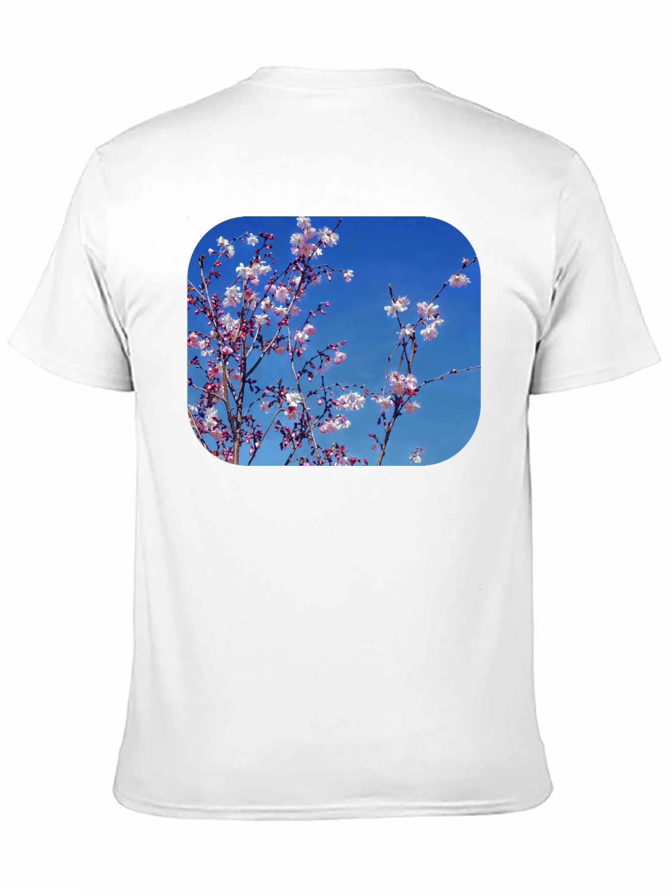Black Blossom Tee - Black Cotton Blend with Floral Print view 11
