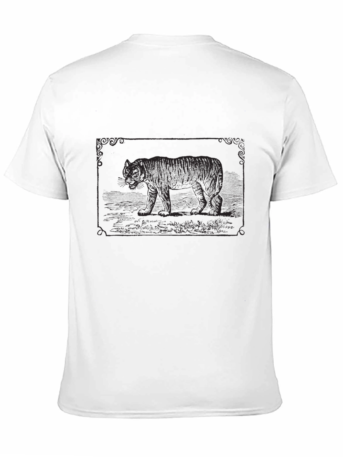 Black Tiger Graphic Tee - Black view 11
