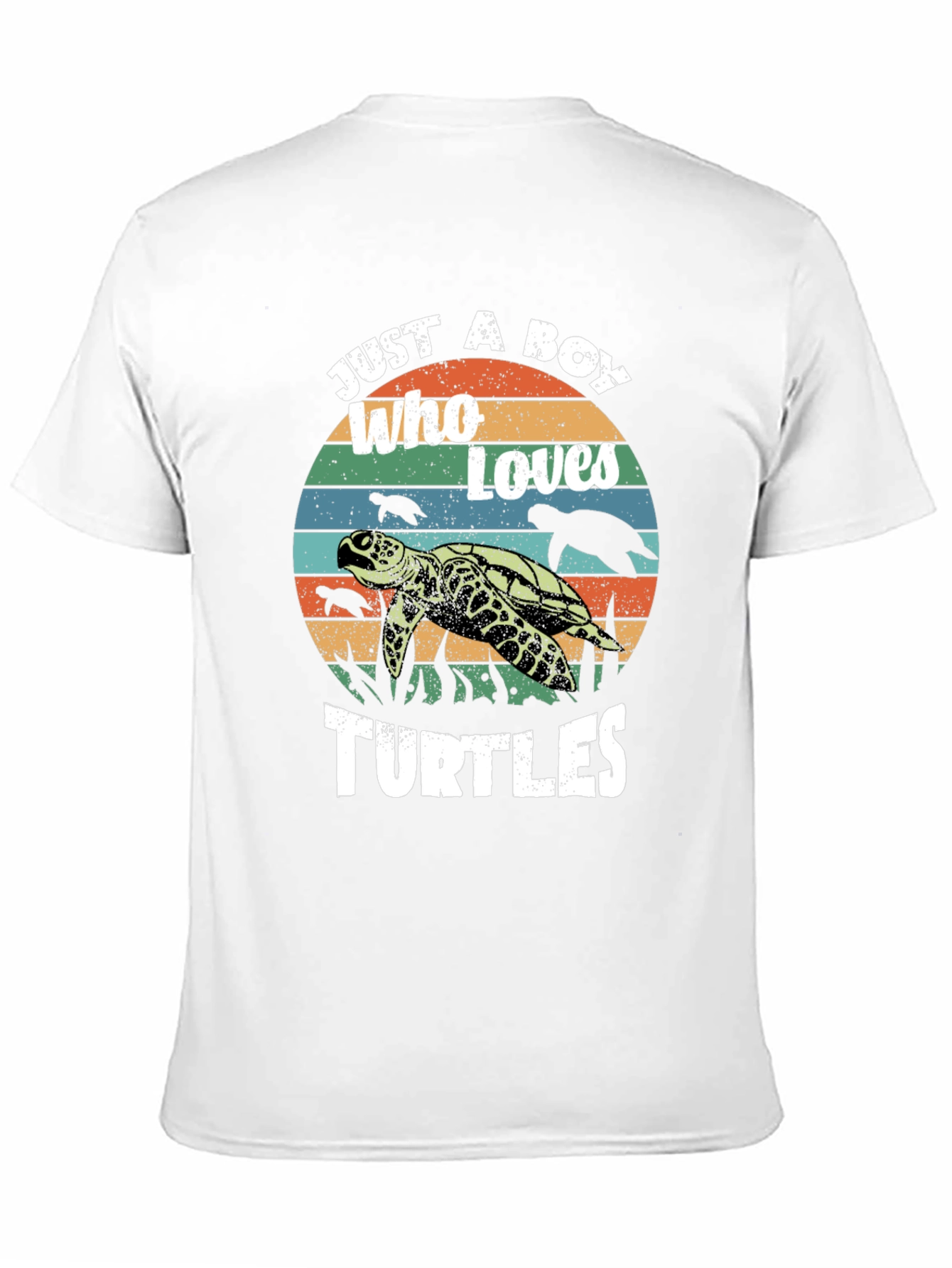 Black Just a Boy Who Loves Turtles Graphic Tee view 11