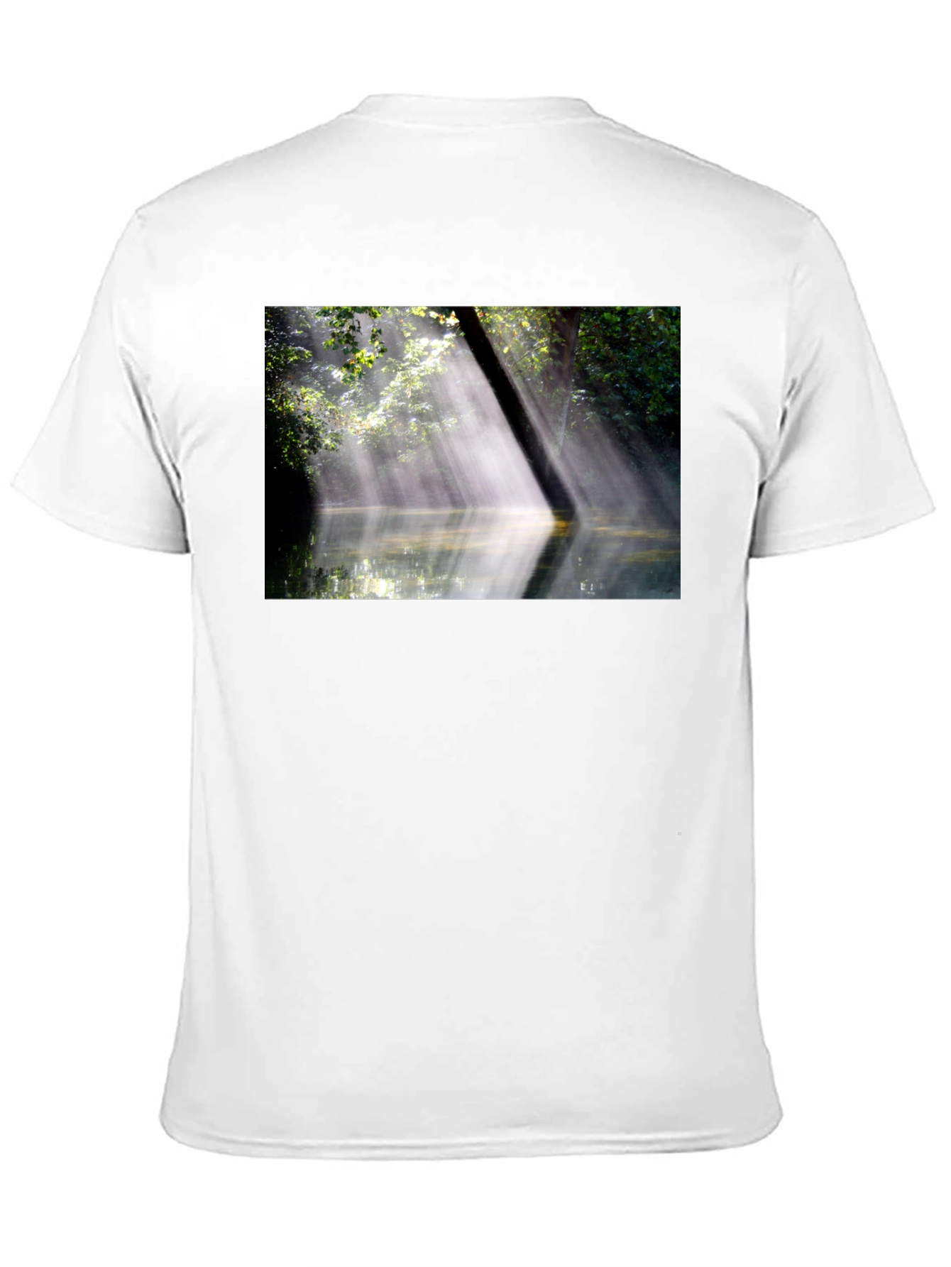 Black Nature's Embrace Tee - Sunlit Forest Design view 11