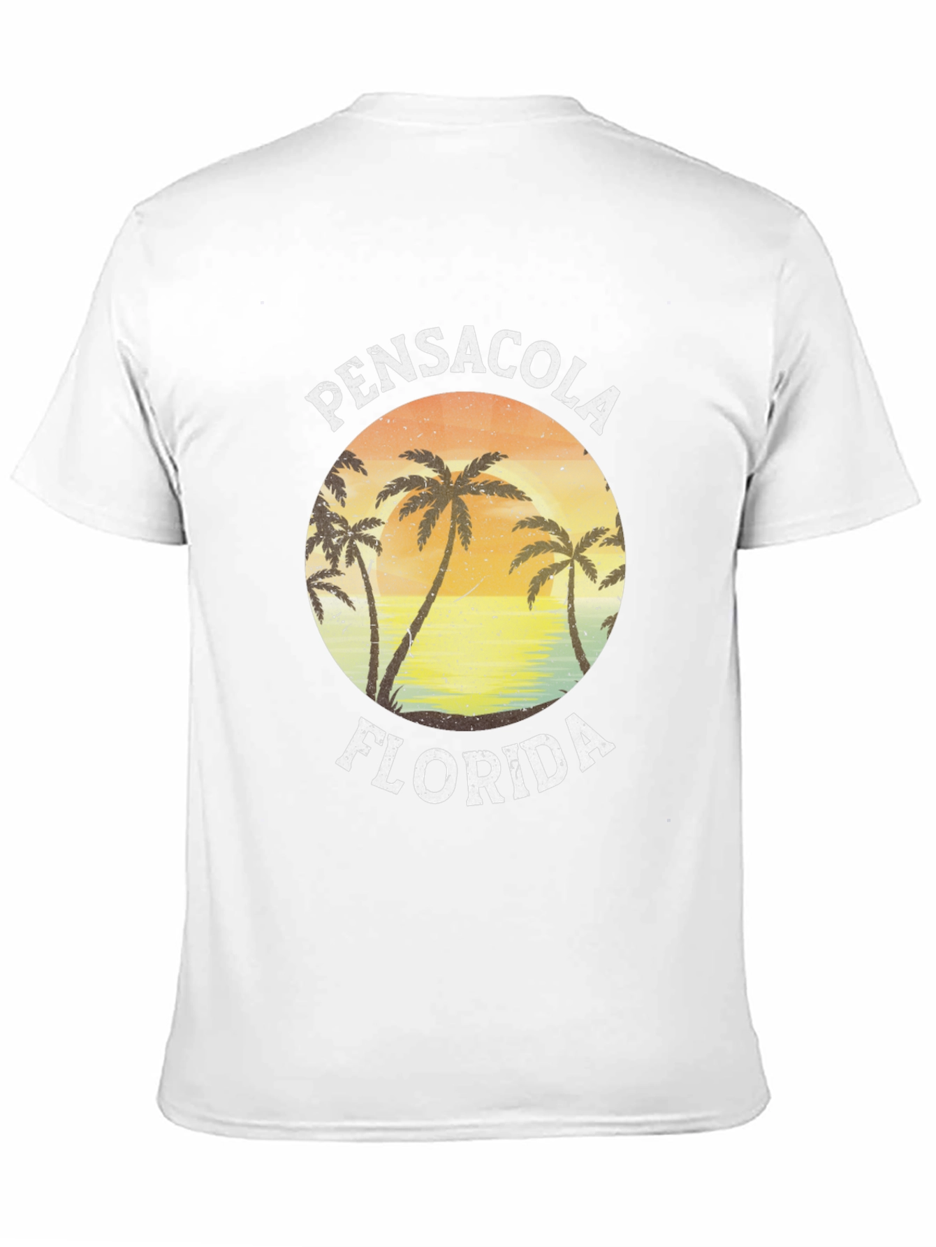 Black Pensacola Florida Graphic T-Shirt view 11