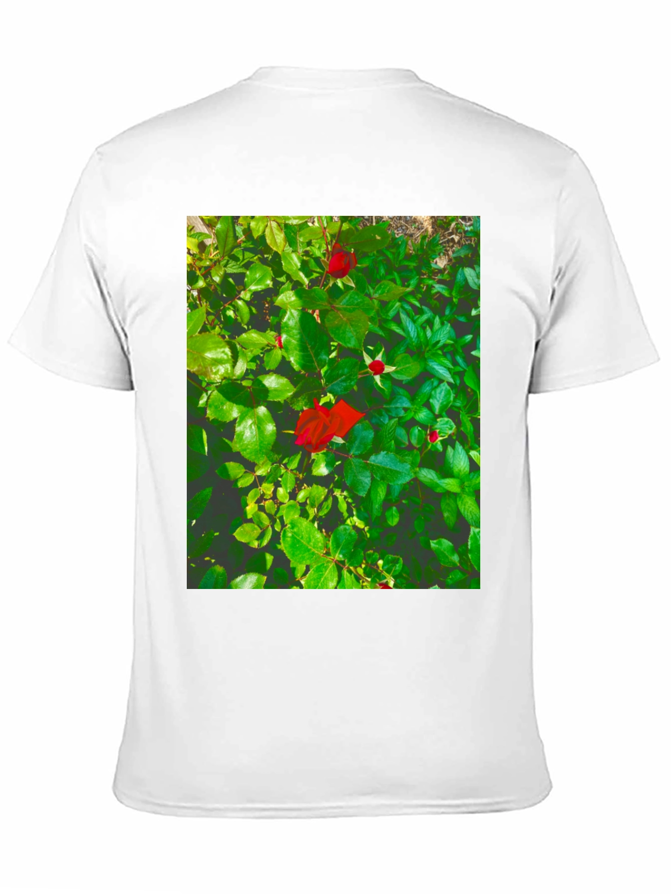 Black Rose Bush Graphic Tee - Nature Inspired Black T-Shirt view 11