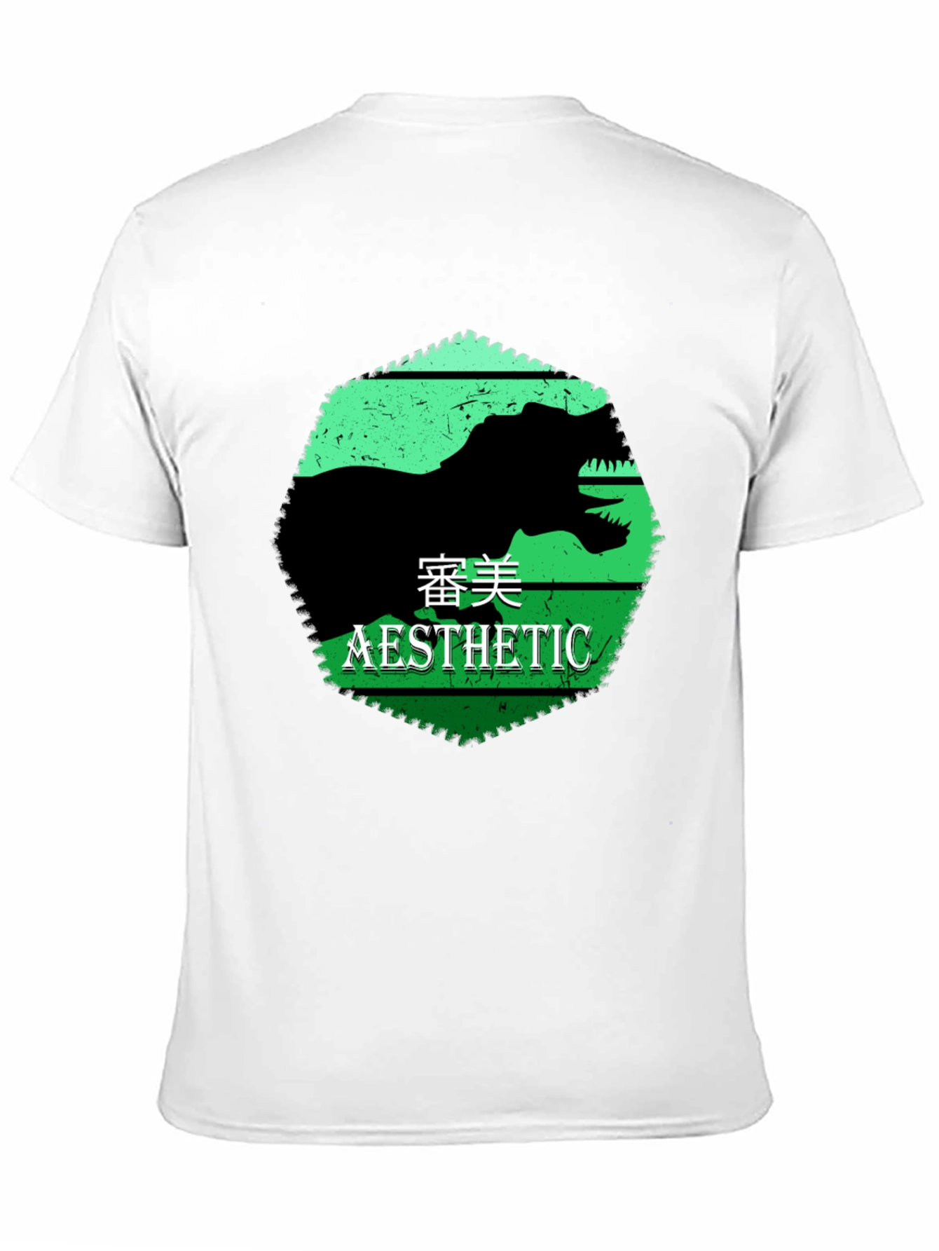 Black Aesthetic Dinosaur Graphic Tee view 11