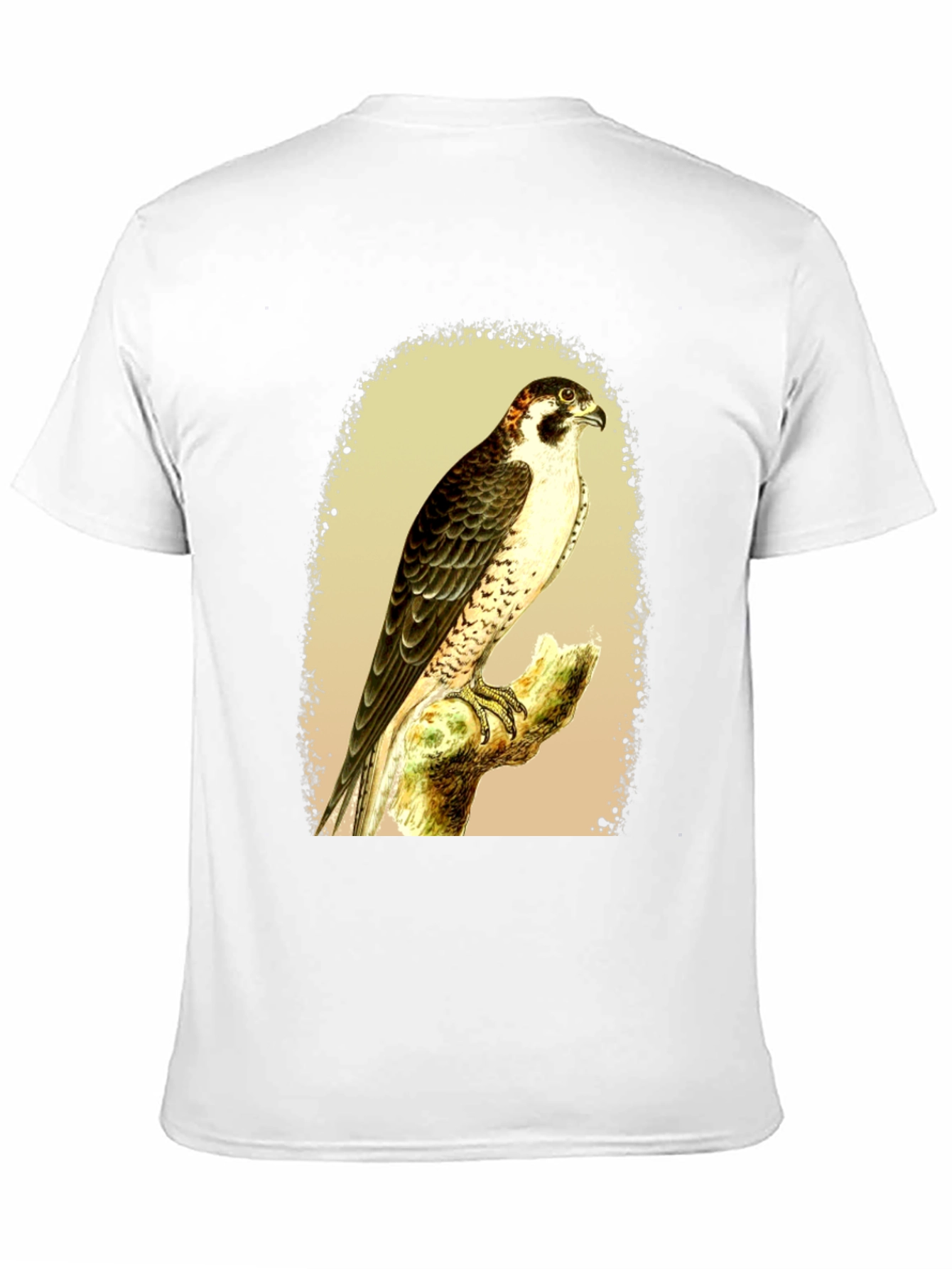 Black Falcon Graphic Tee - Vintage Bird Illustration T-Shirt view 11