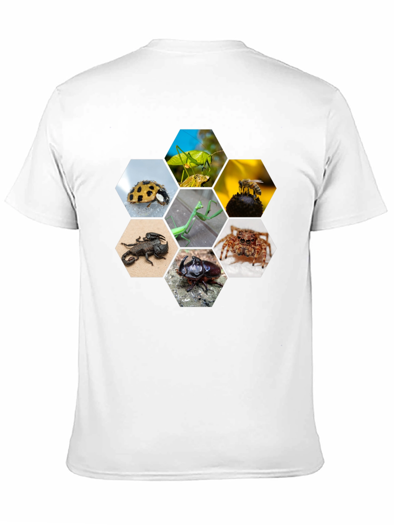 Black Insect Hexagon T-Shirt - Unique Nature Design view 11