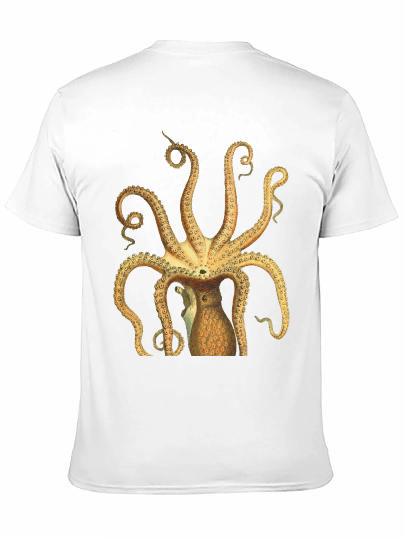 Black Octopus Graphic Tee - Black Cotton T-Shirt view 11
