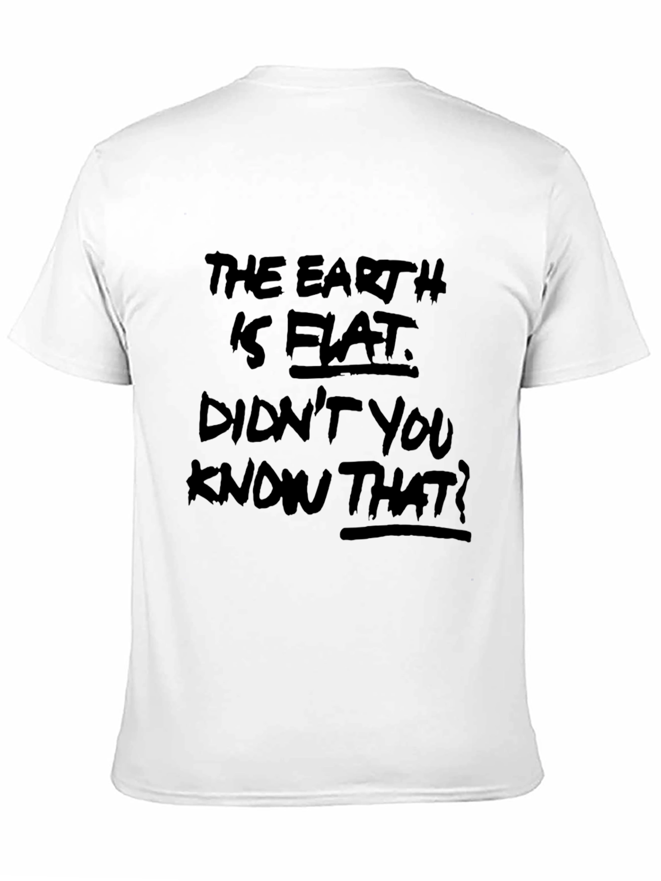 Black Flat Earth Graphic Tee - Conspiracy Theory T-Shirt view 11