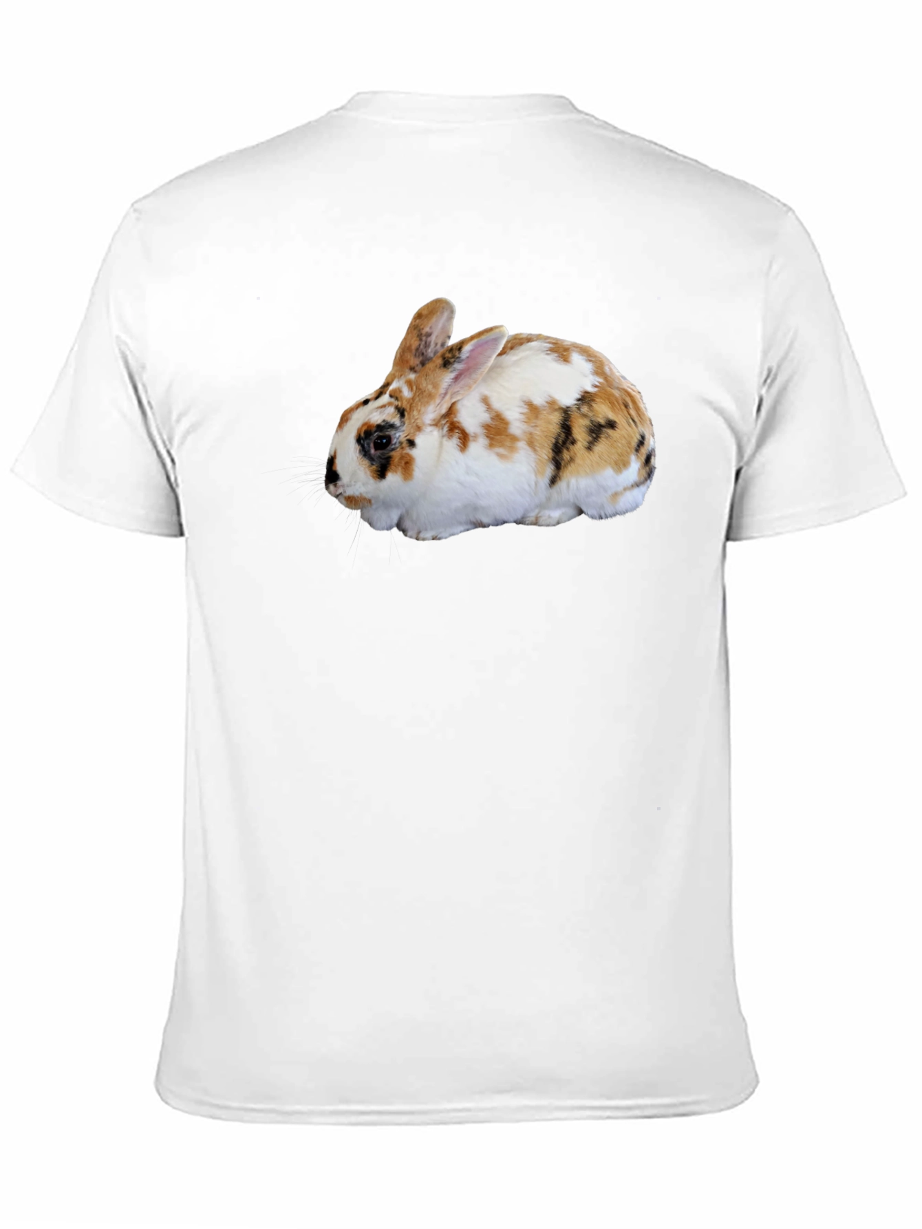 Black Rabbit Graphic Tee - Cute Pet T-Shirt view 11